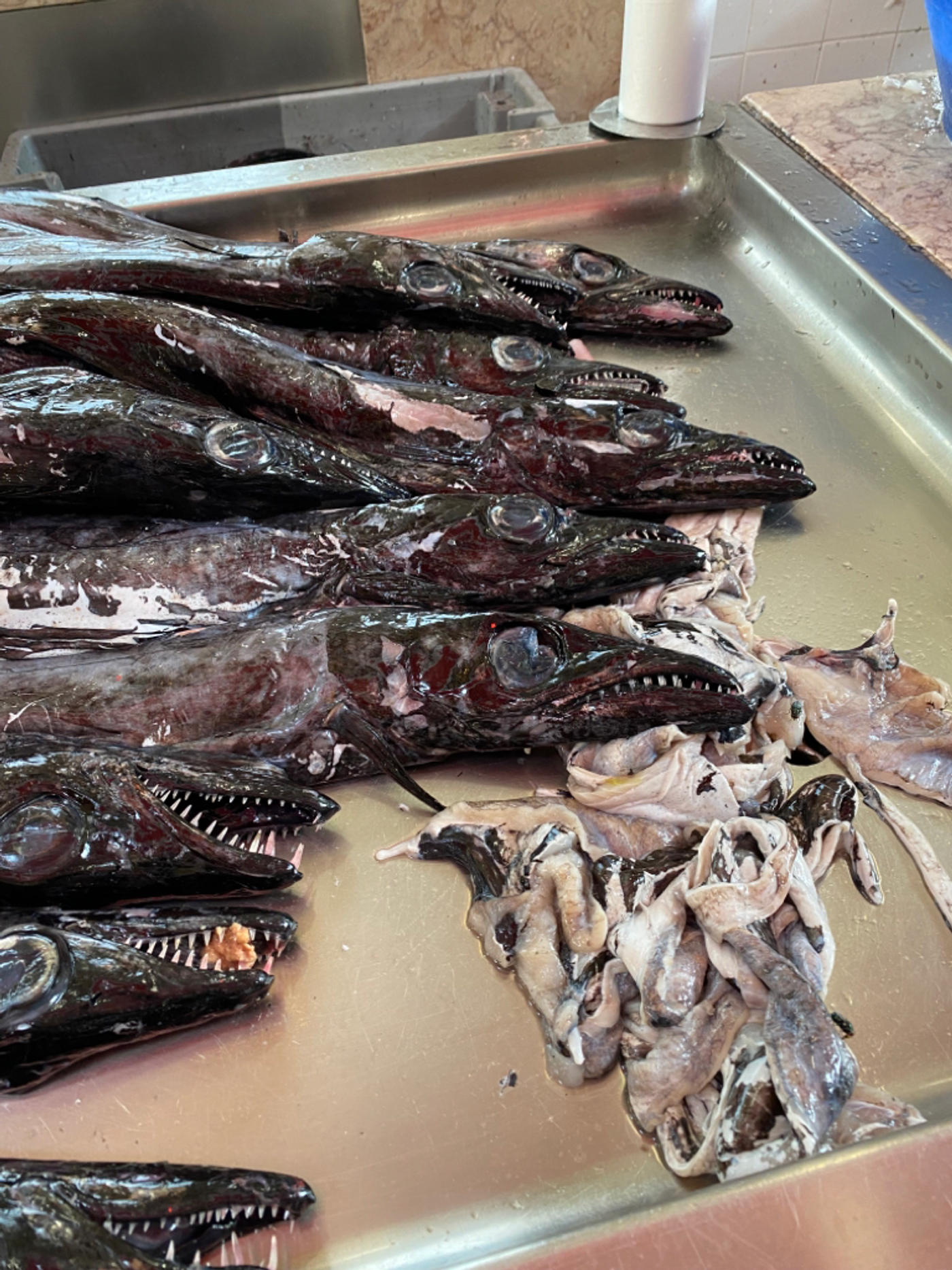 Fisch- und Markthalle