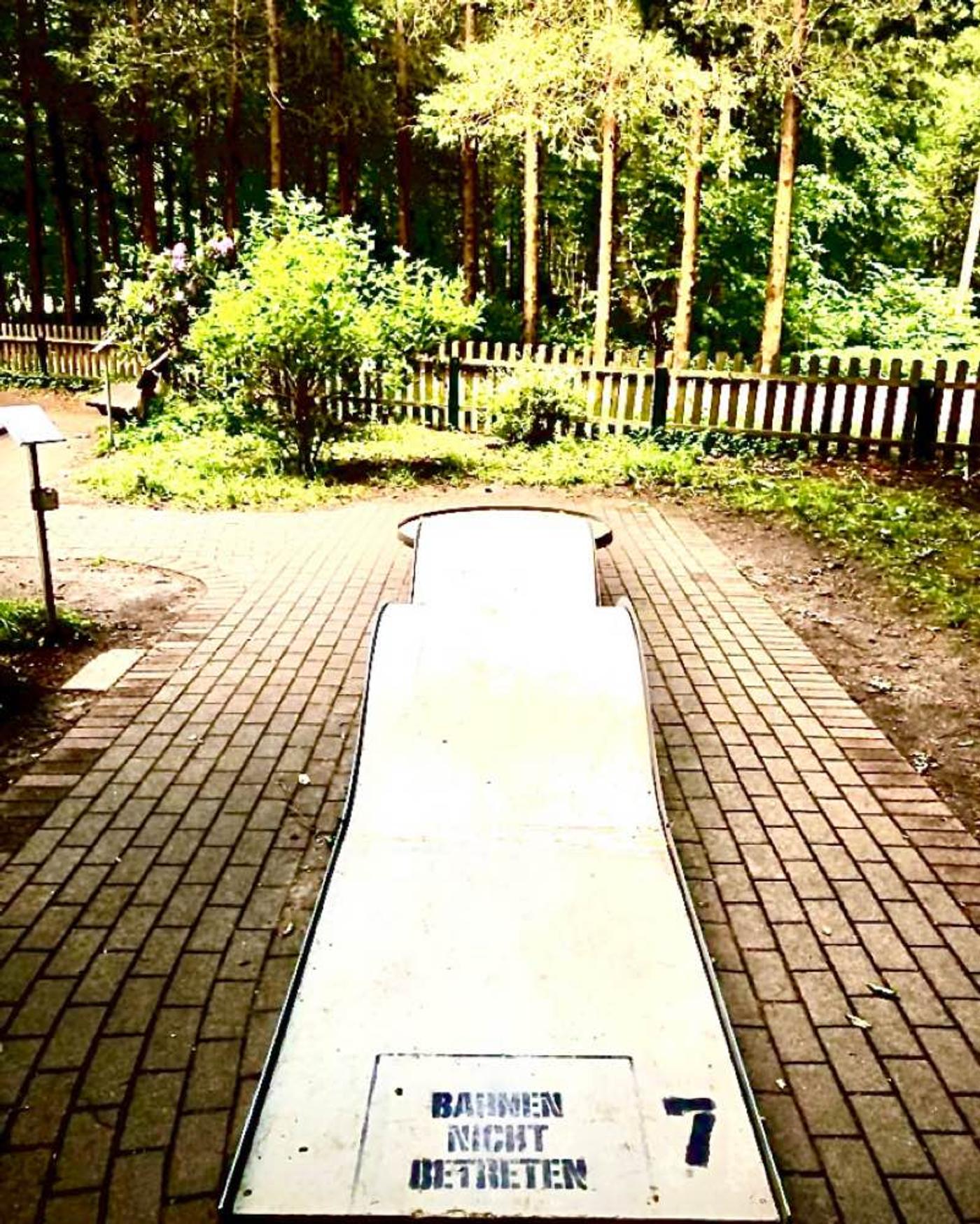 Cheesecake & Minigolf