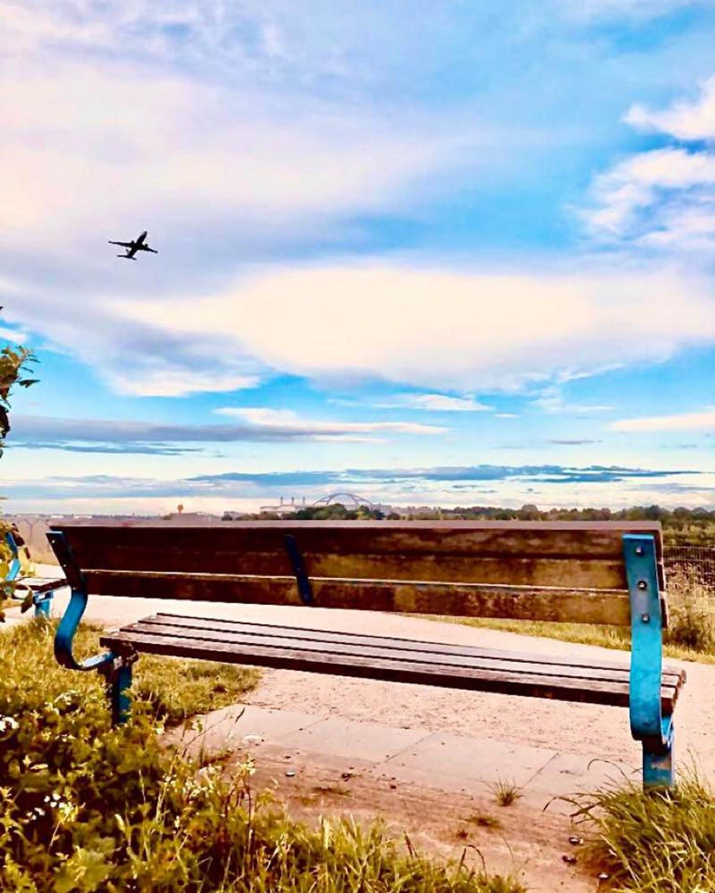 Vorsicht Vogelschlag!