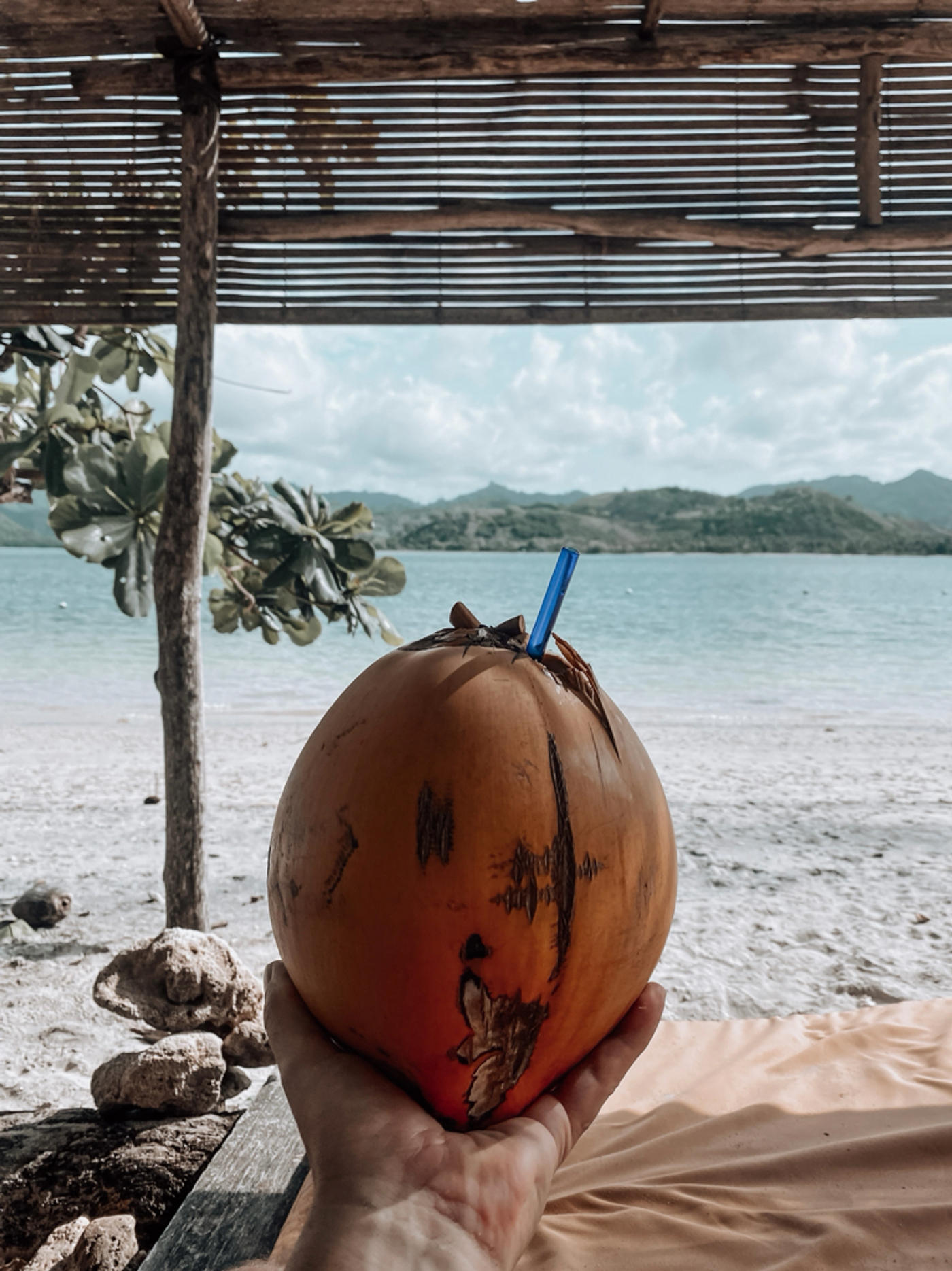 Coconut love with a view 🥥
