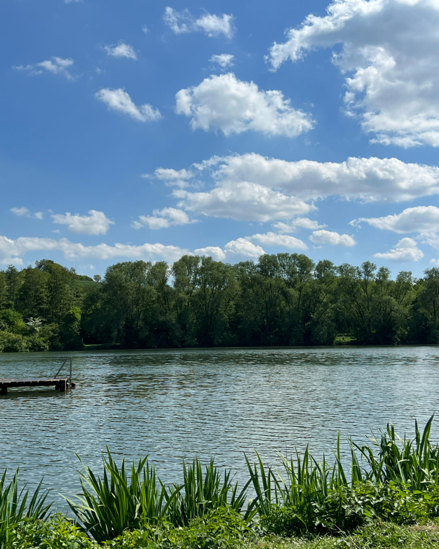 Sonnen & entspannen in der Natur 