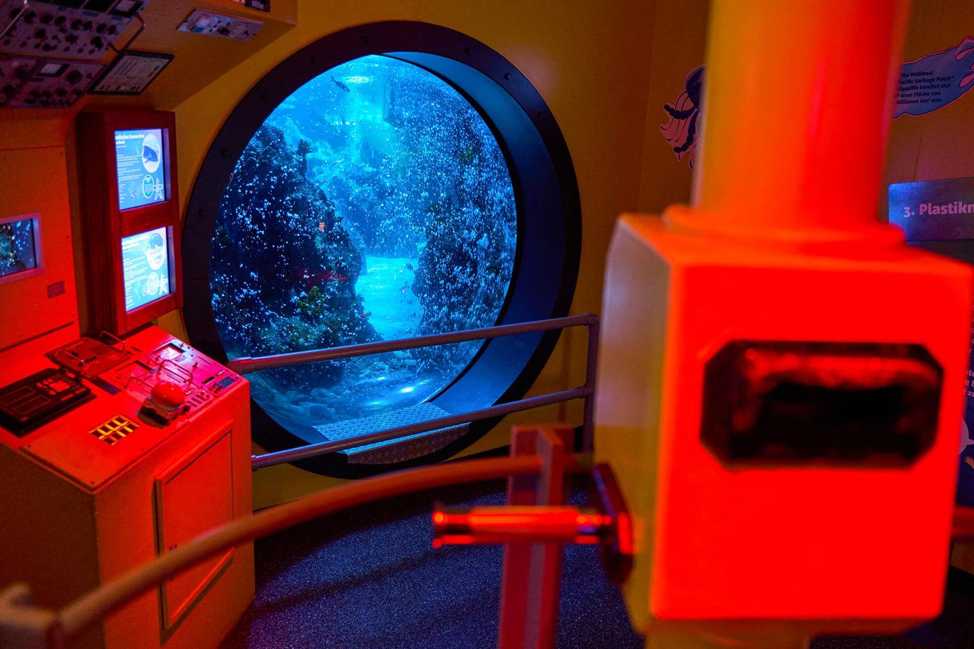 Faszination Unterwasserwelt hautnah