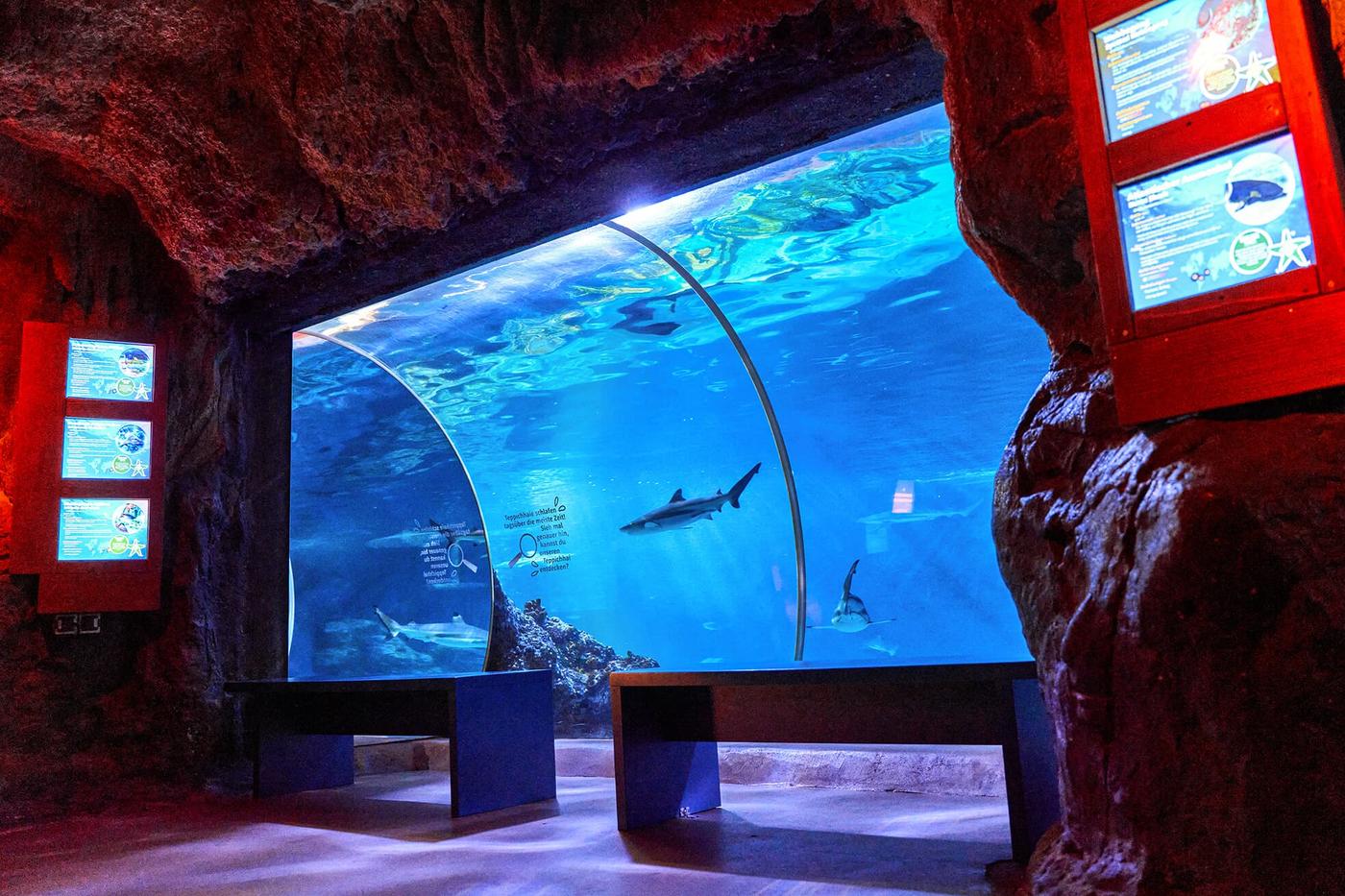 Faszination Unterwasserwelt hautnah