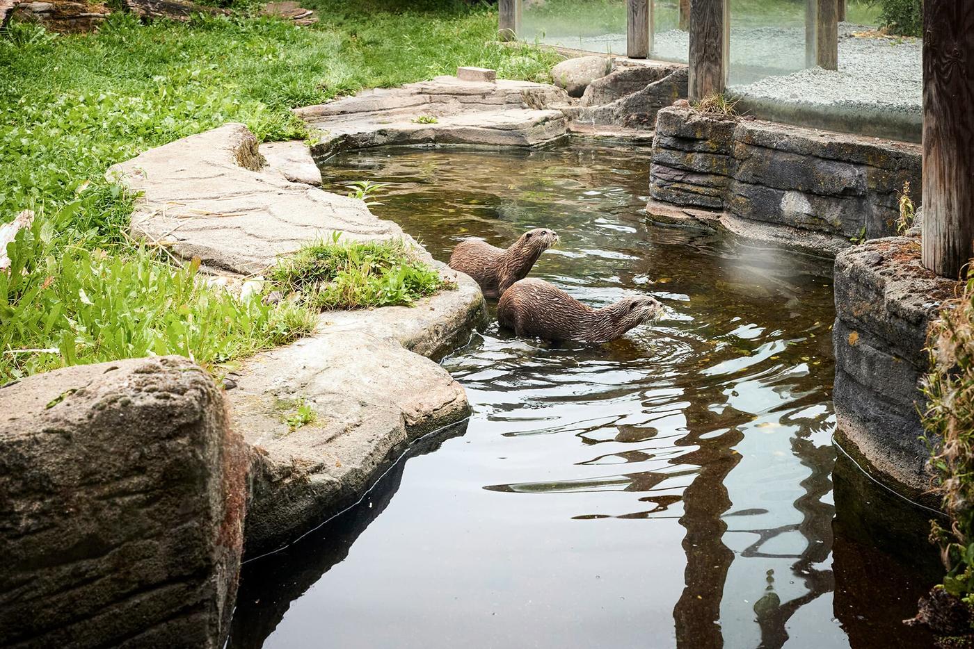 Faszination Unterwasserwelt hautnah