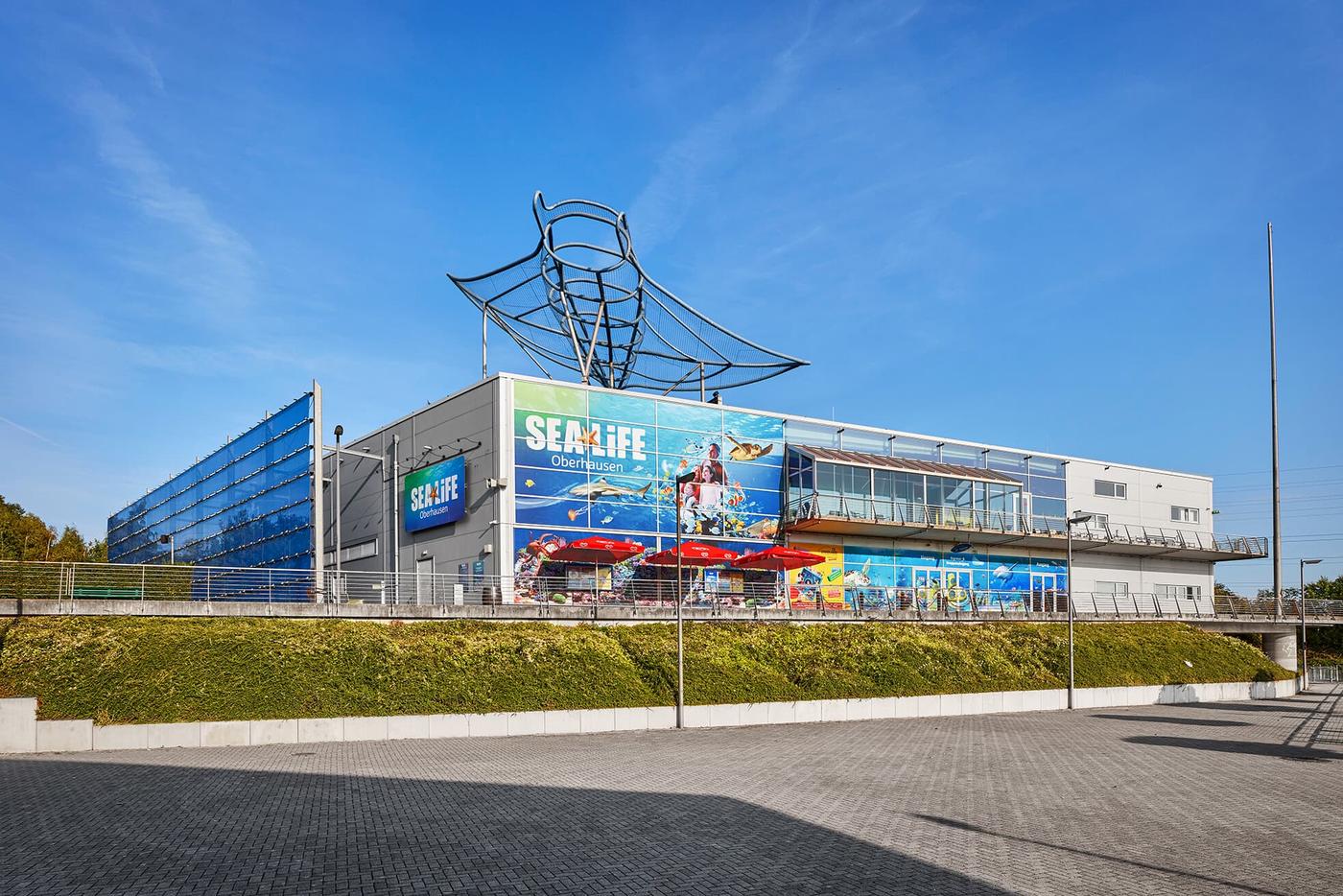 Faszination Unterwasserwelt hautnah