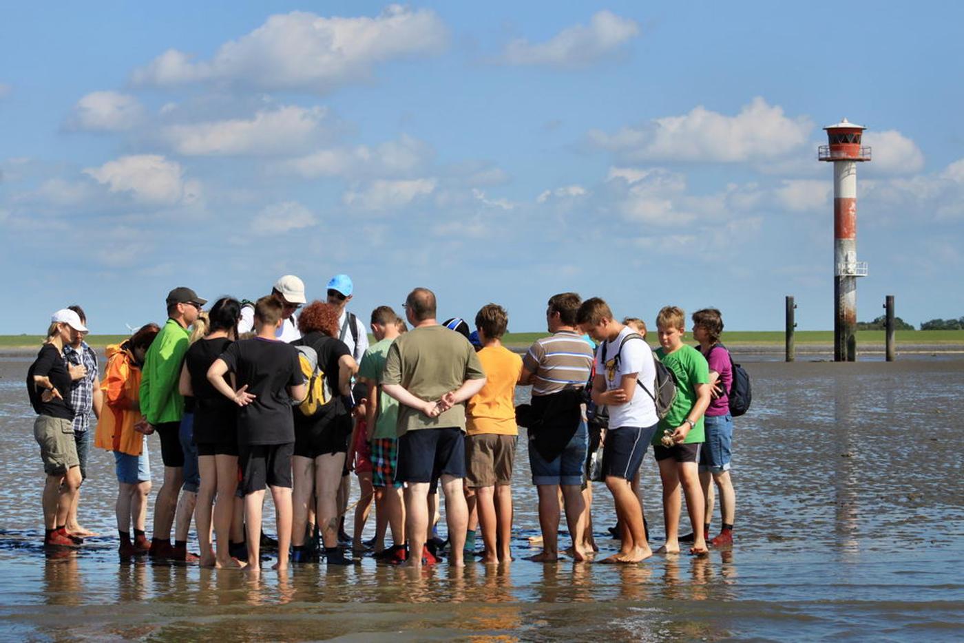 Begegnung mit Willi Wattwurm