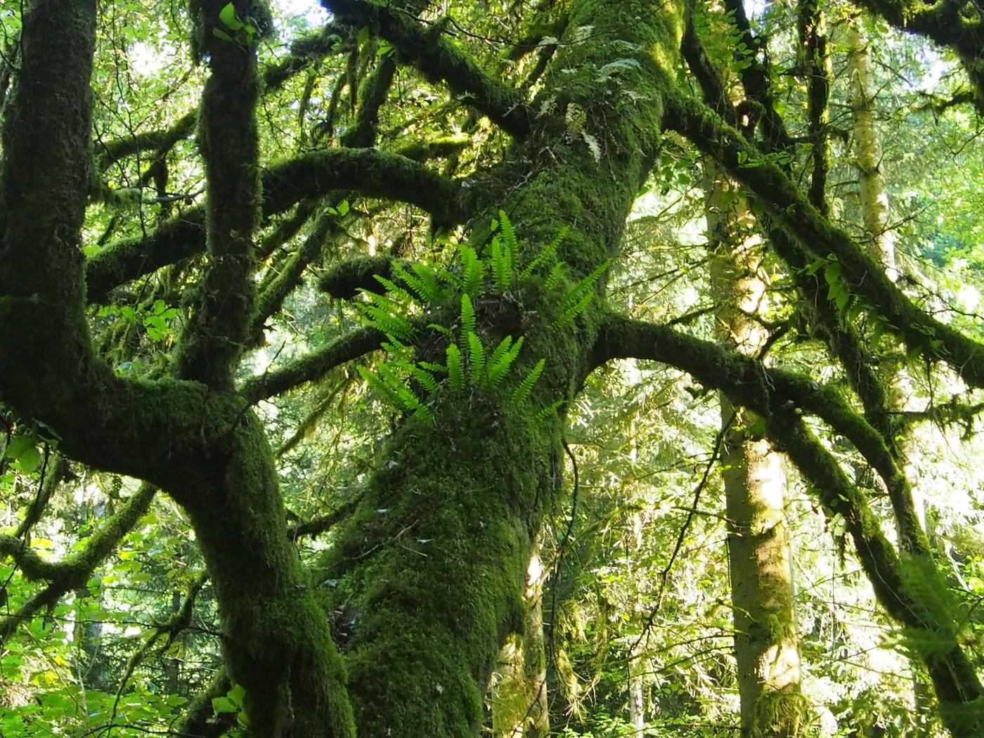 Kulinarik und Natur entdecken