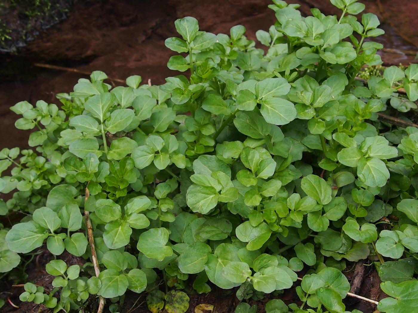Kulinarik und Natur entdecken