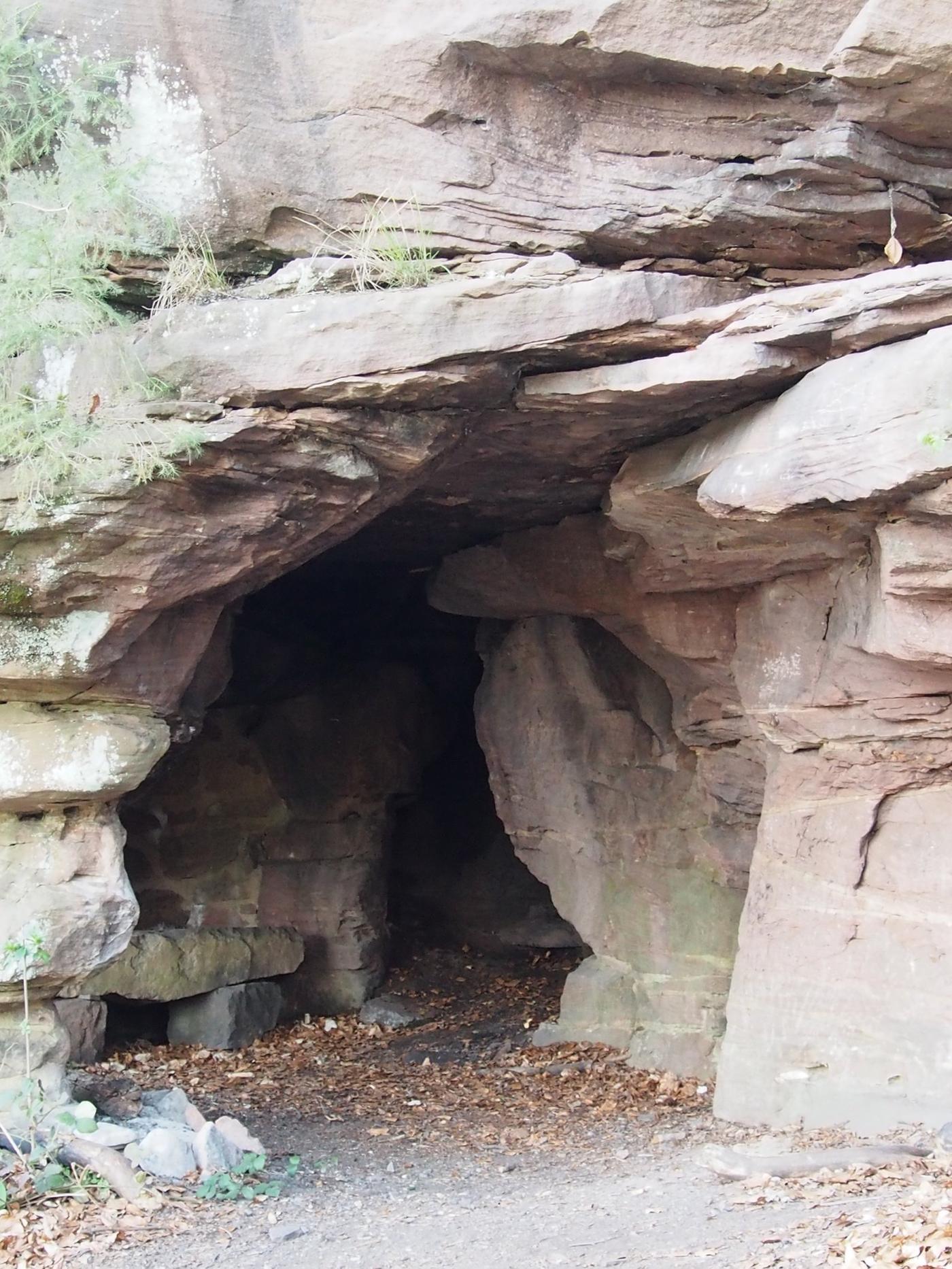 Kulinarik und Natur entdecken