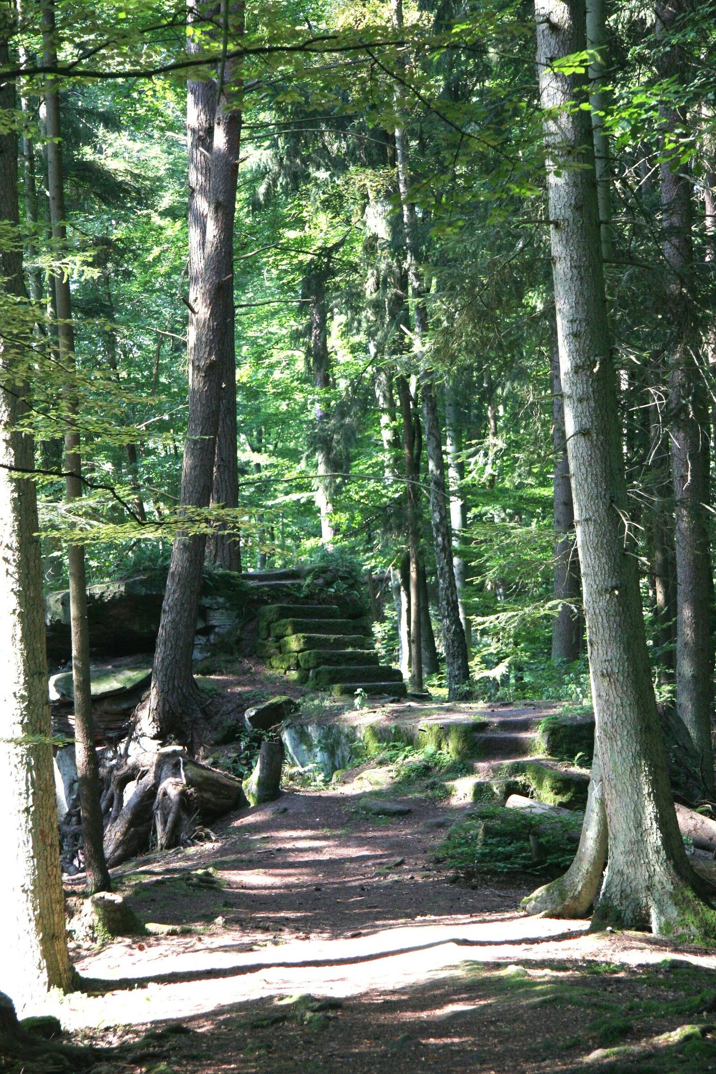 Geheimnisse der Erdgeschichte