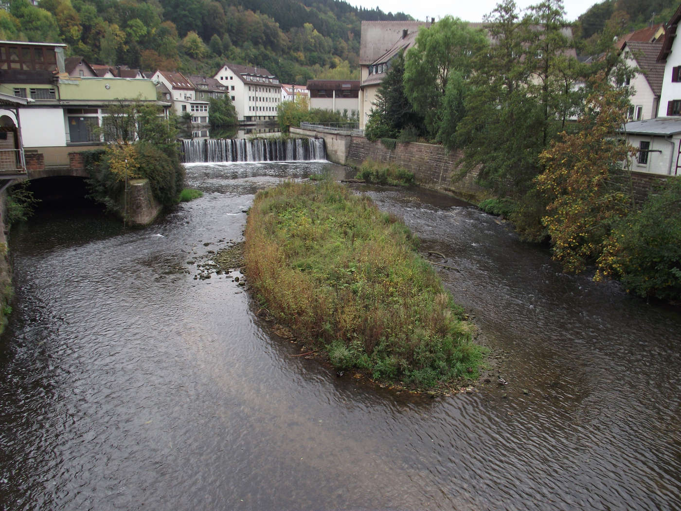 Die lebendige Nagold