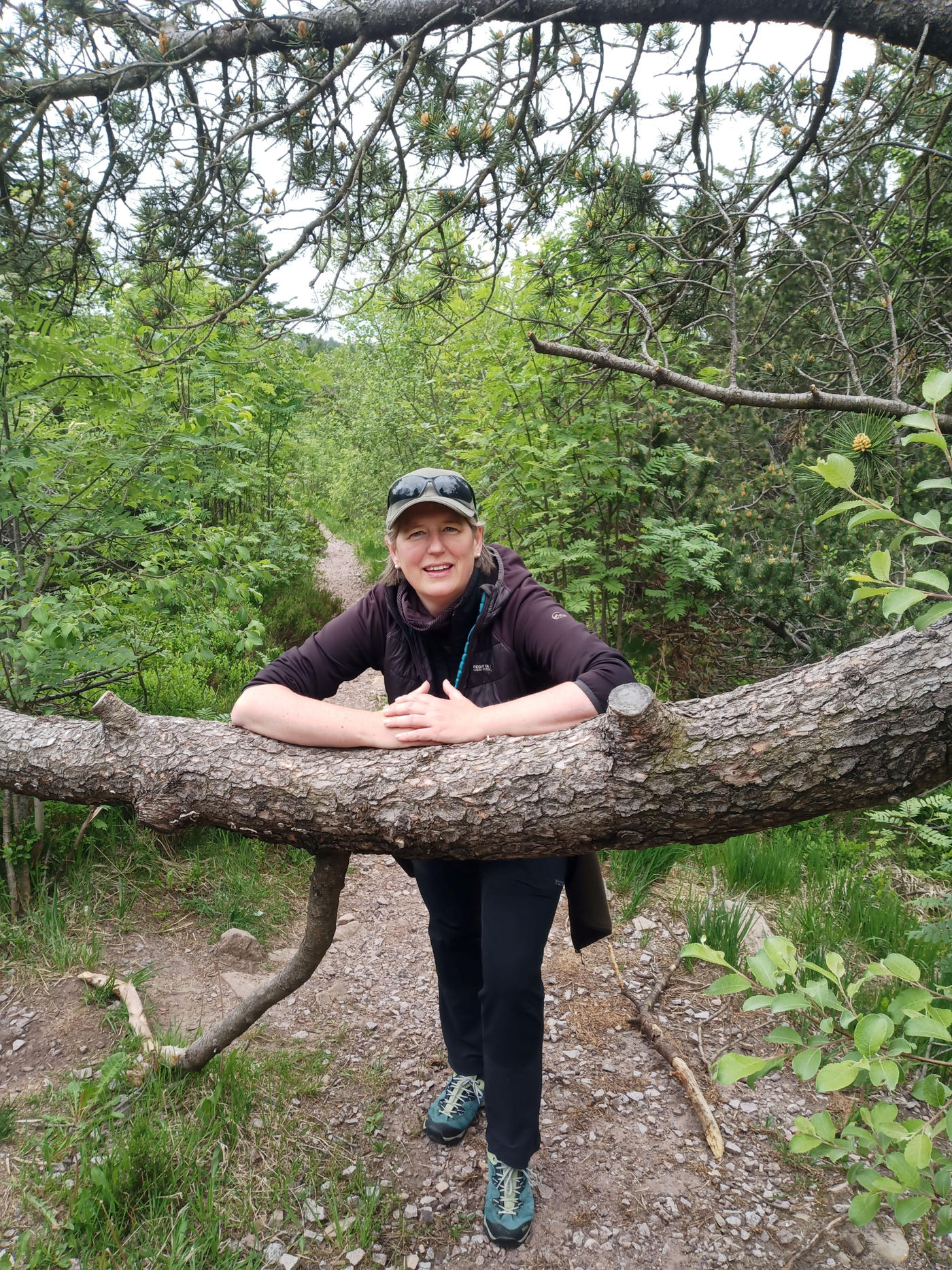 Schwarzwald geführt erleben