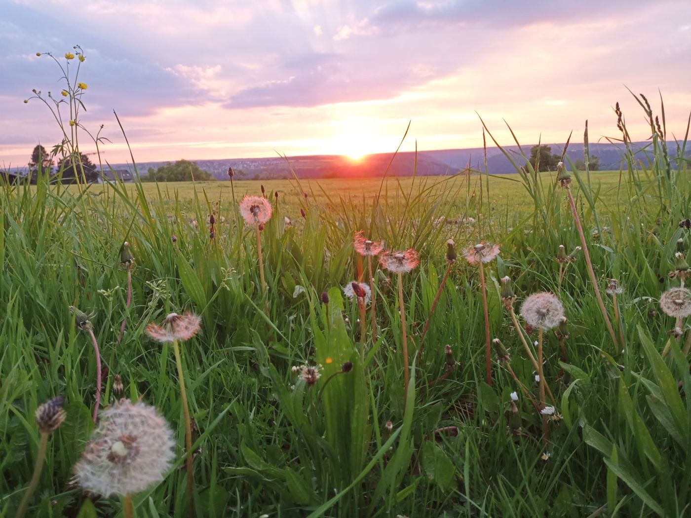 Natur pur erleben