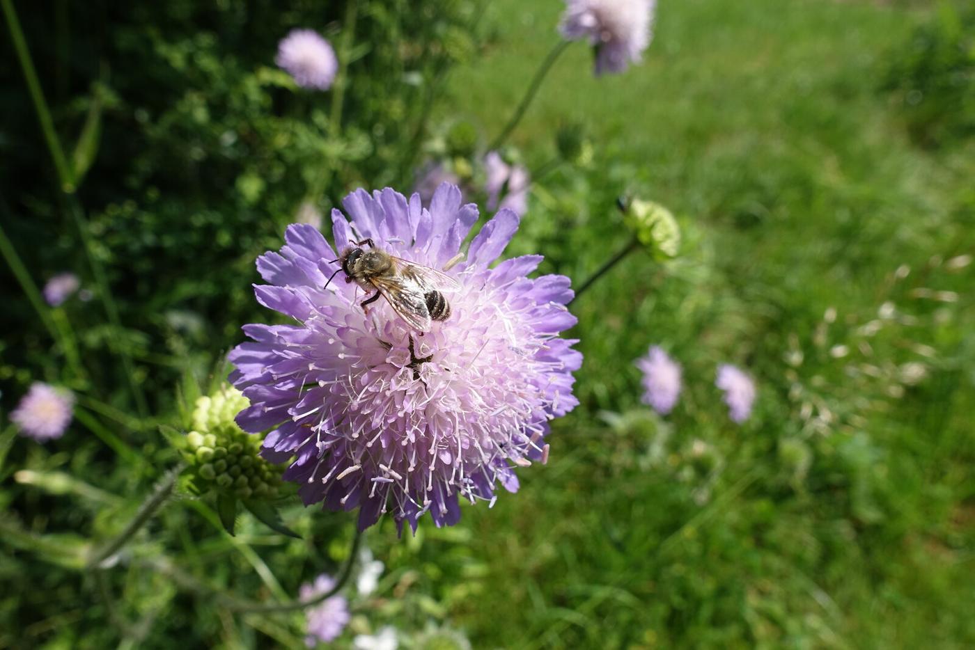 Geheimnisse der Erdgeschichte