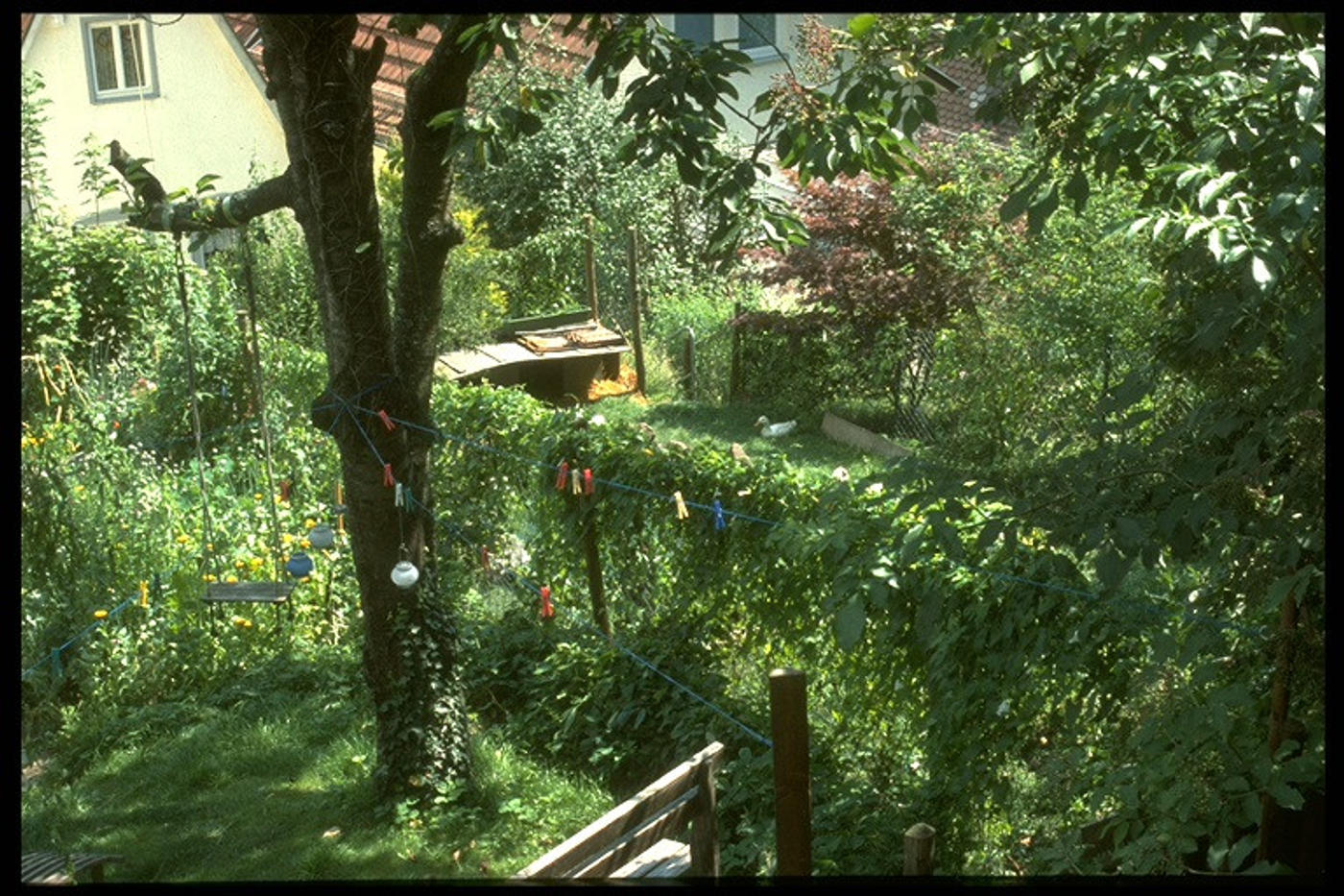 Natur hautnah entdecken