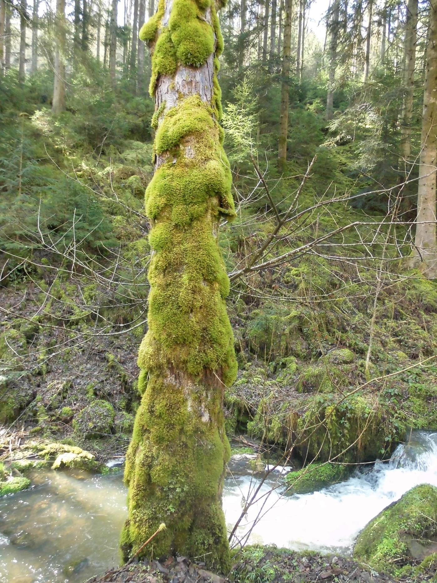 Kulinarik und Natur entdecken