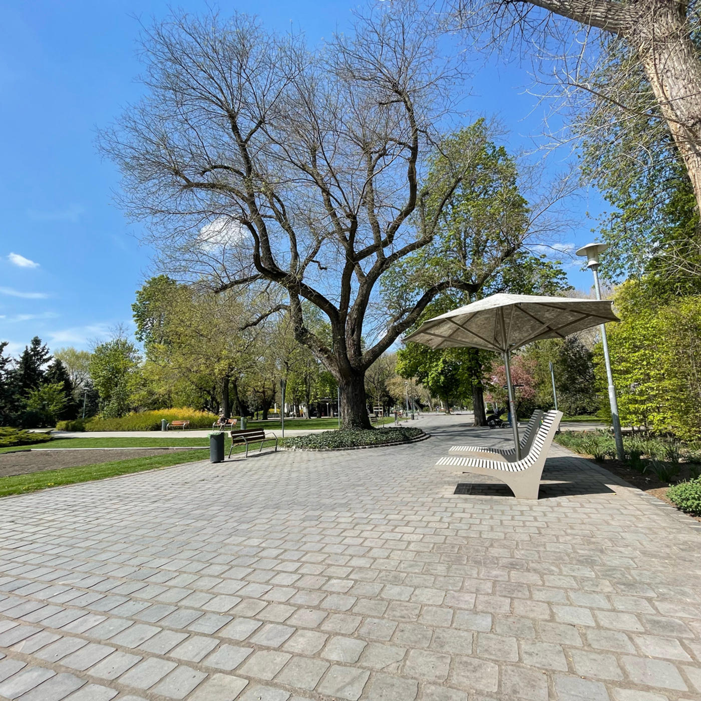 Under my umbrella⛱