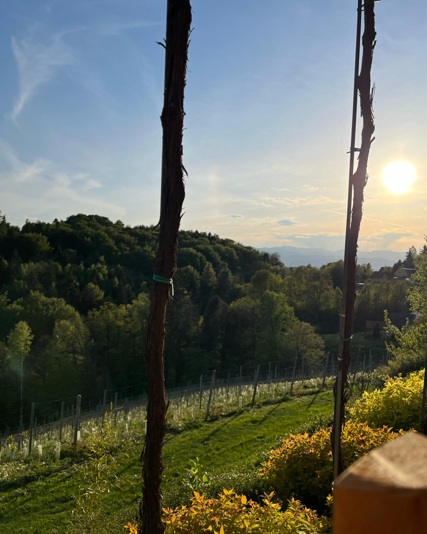 Sunset mit einer Brettljausen 🤩