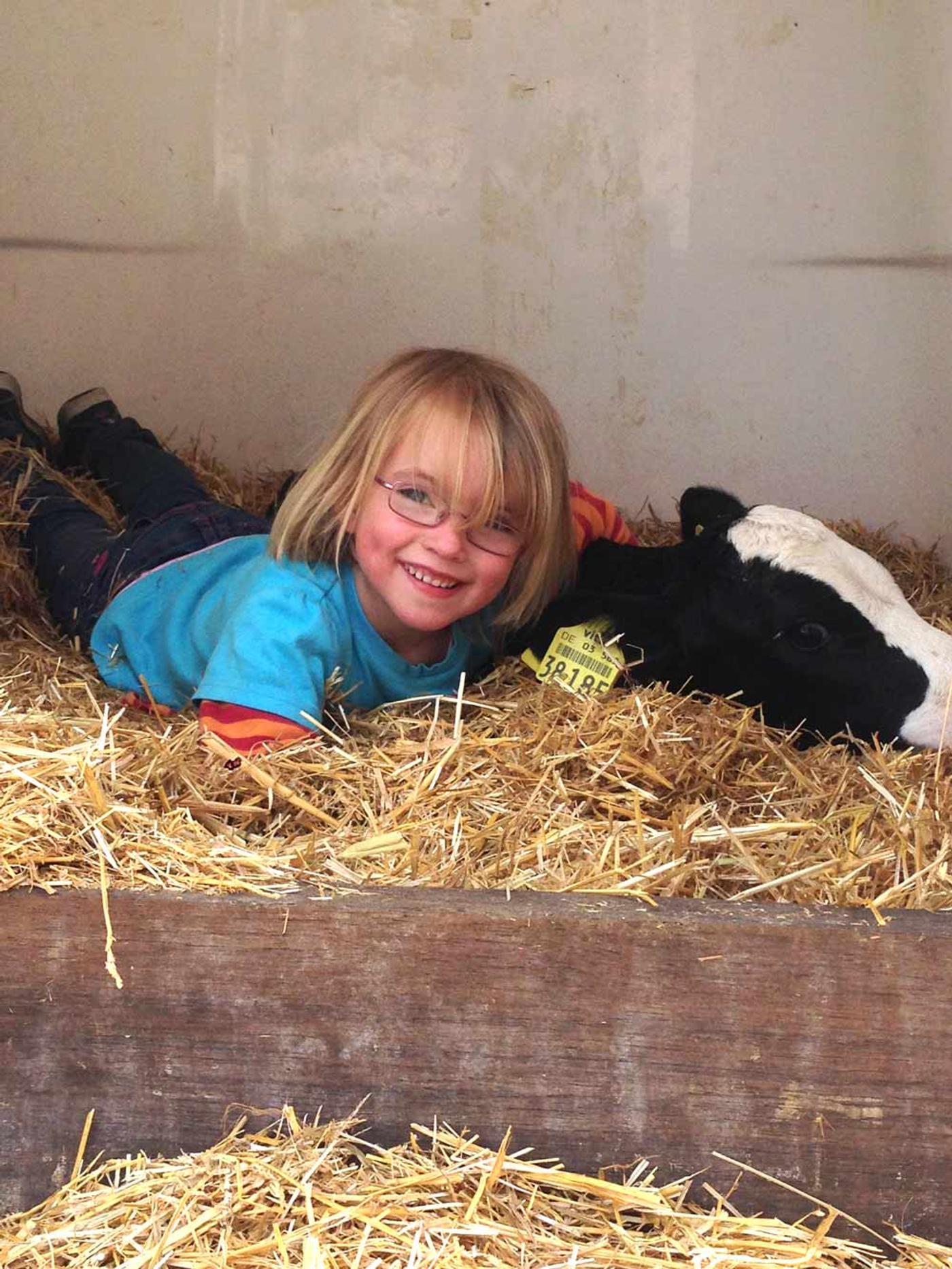 Bauernhoftiere zum Anfassen