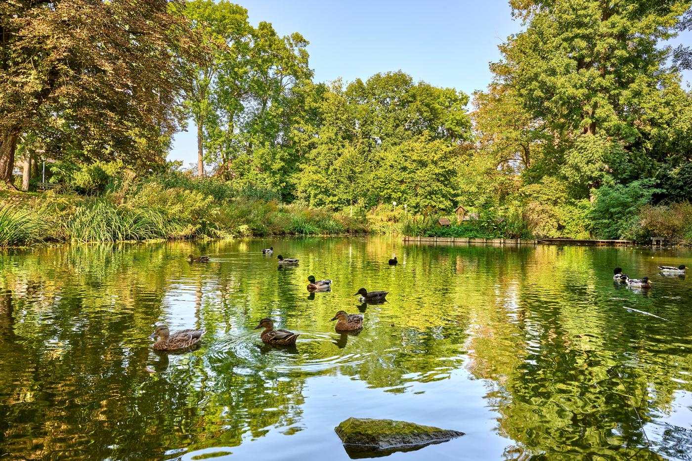 Eine Oase der Ruhe und Schönheit
