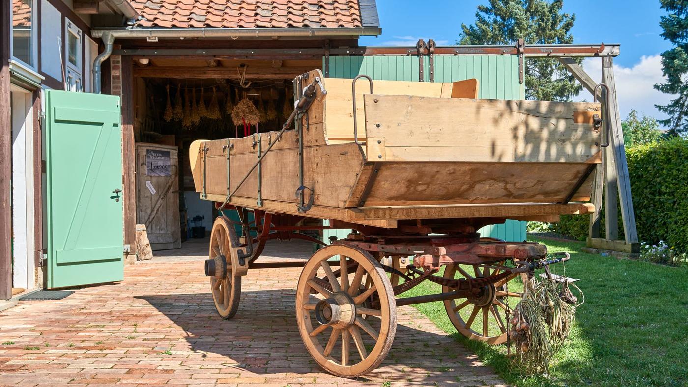 Ernte der grünen Schätze