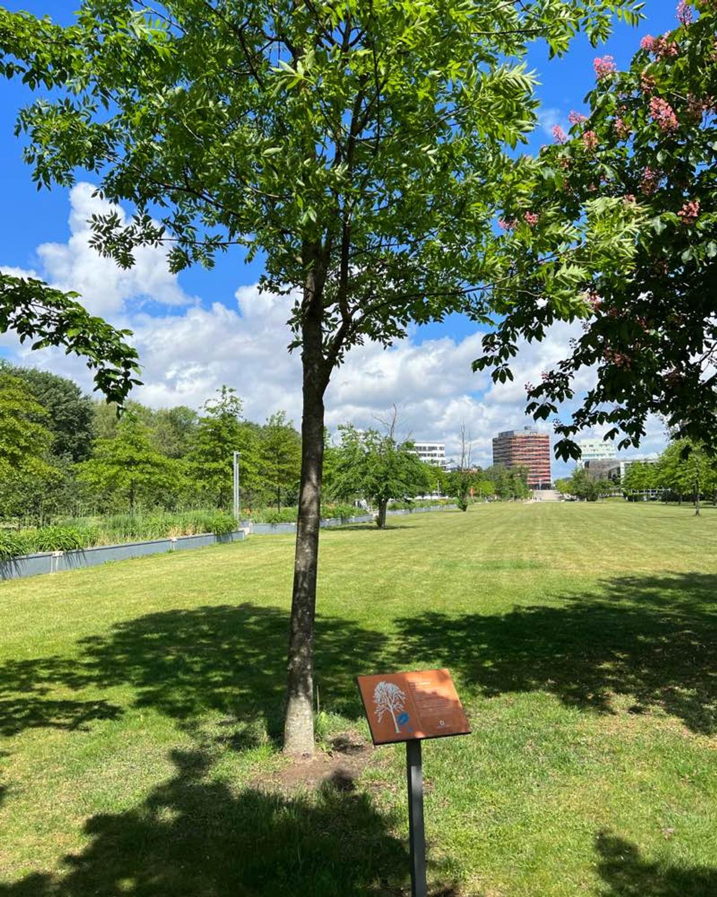 Inselzauber inmitten der Stadt