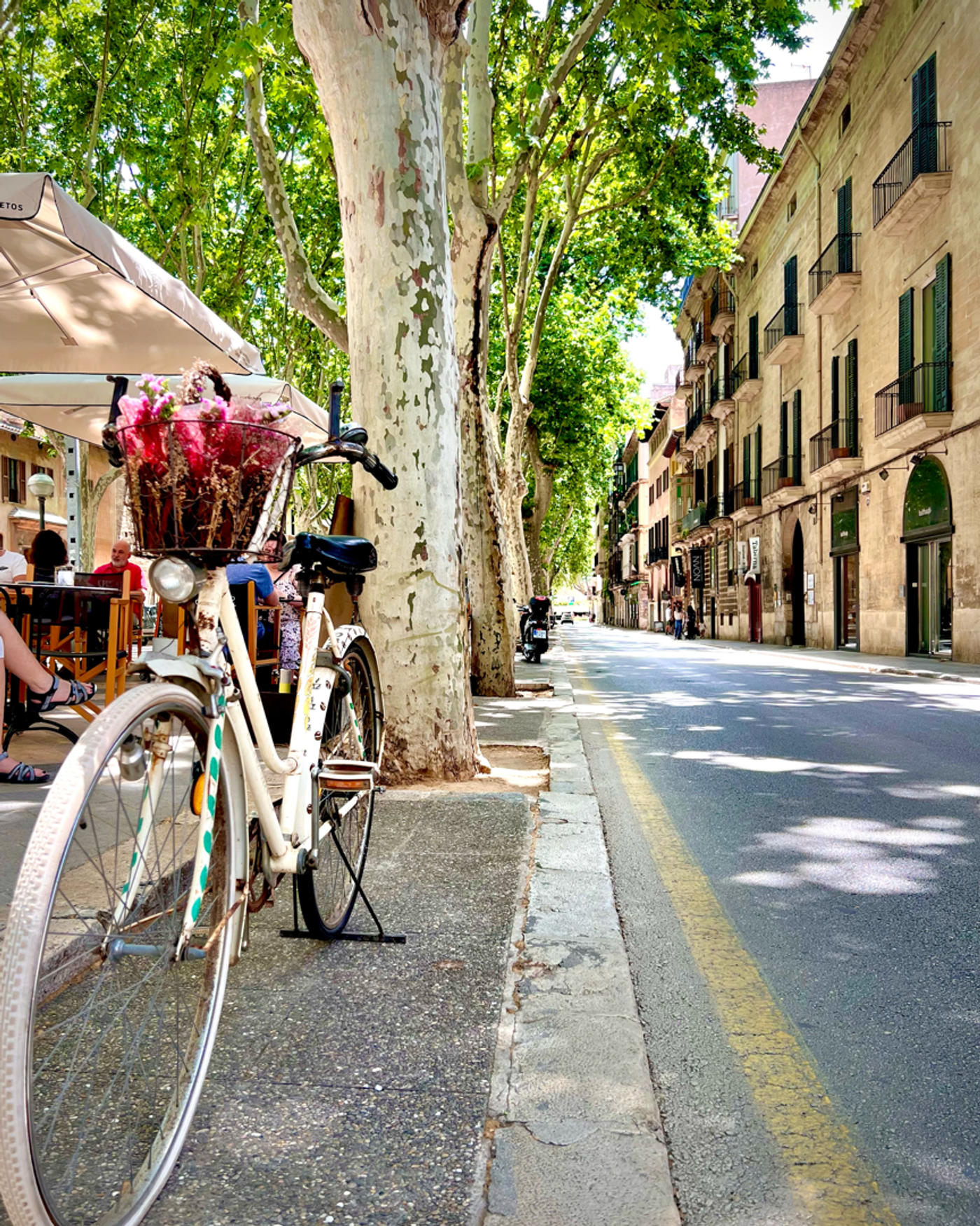 No rumble @Rambla‘s Café