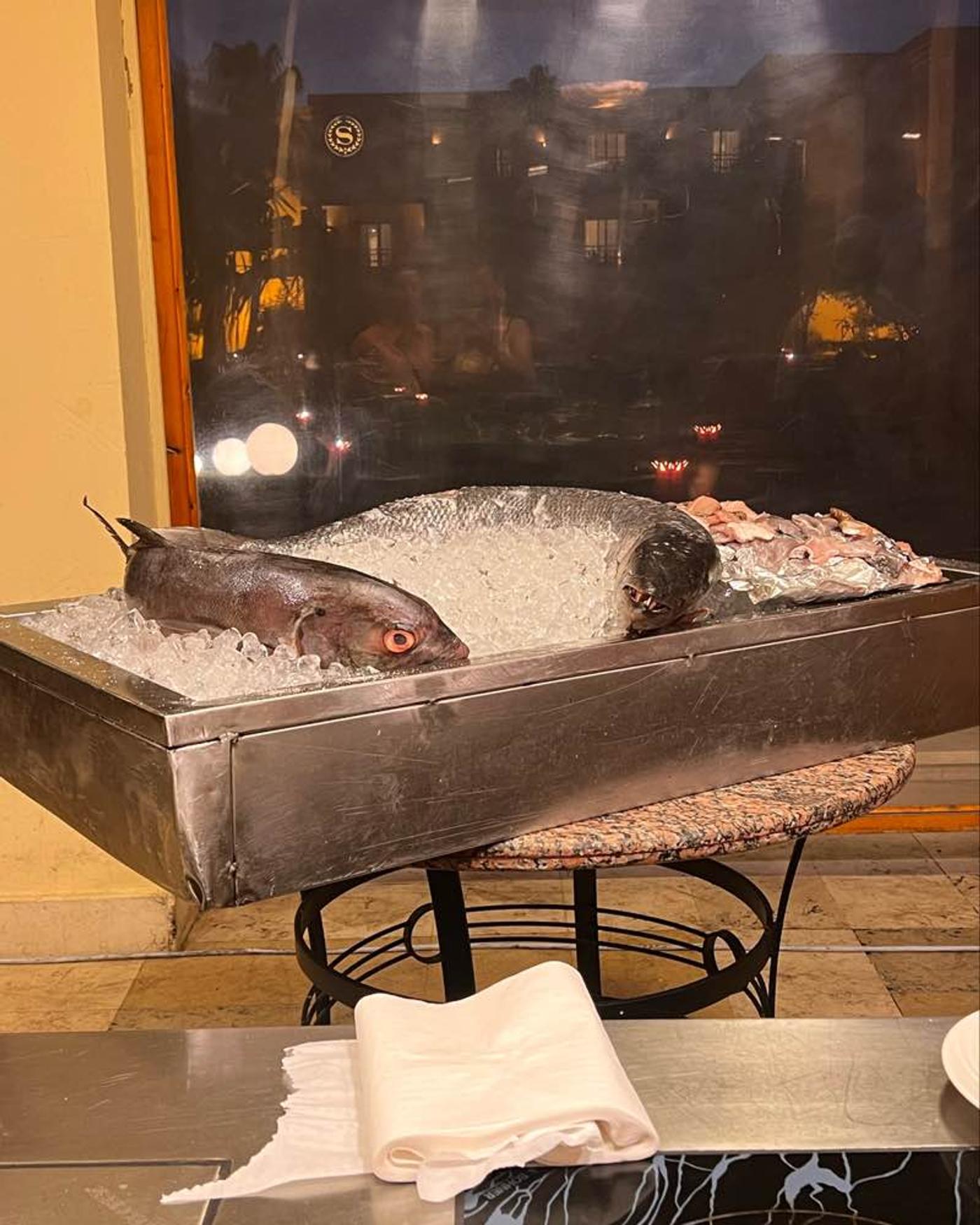 SHERATON SOMA BAY HOTEL: TOP PRICE-PERFORMANCE