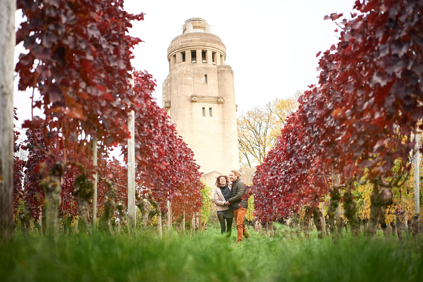 Grillen über den Dächern der Stadt
