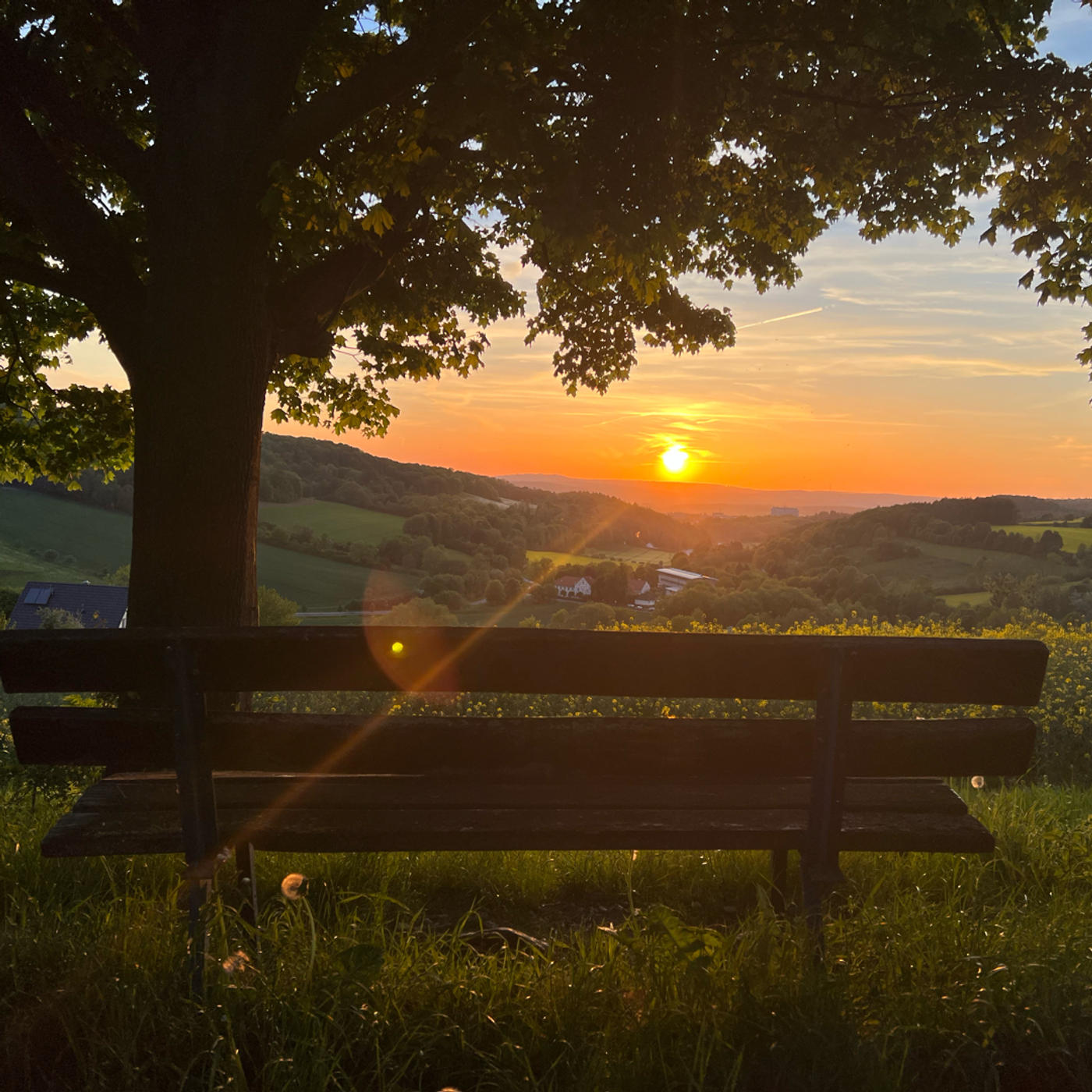 Am Weg zum Kartoffelstein, lädt dich die Sonne ☀️ ein 🌅