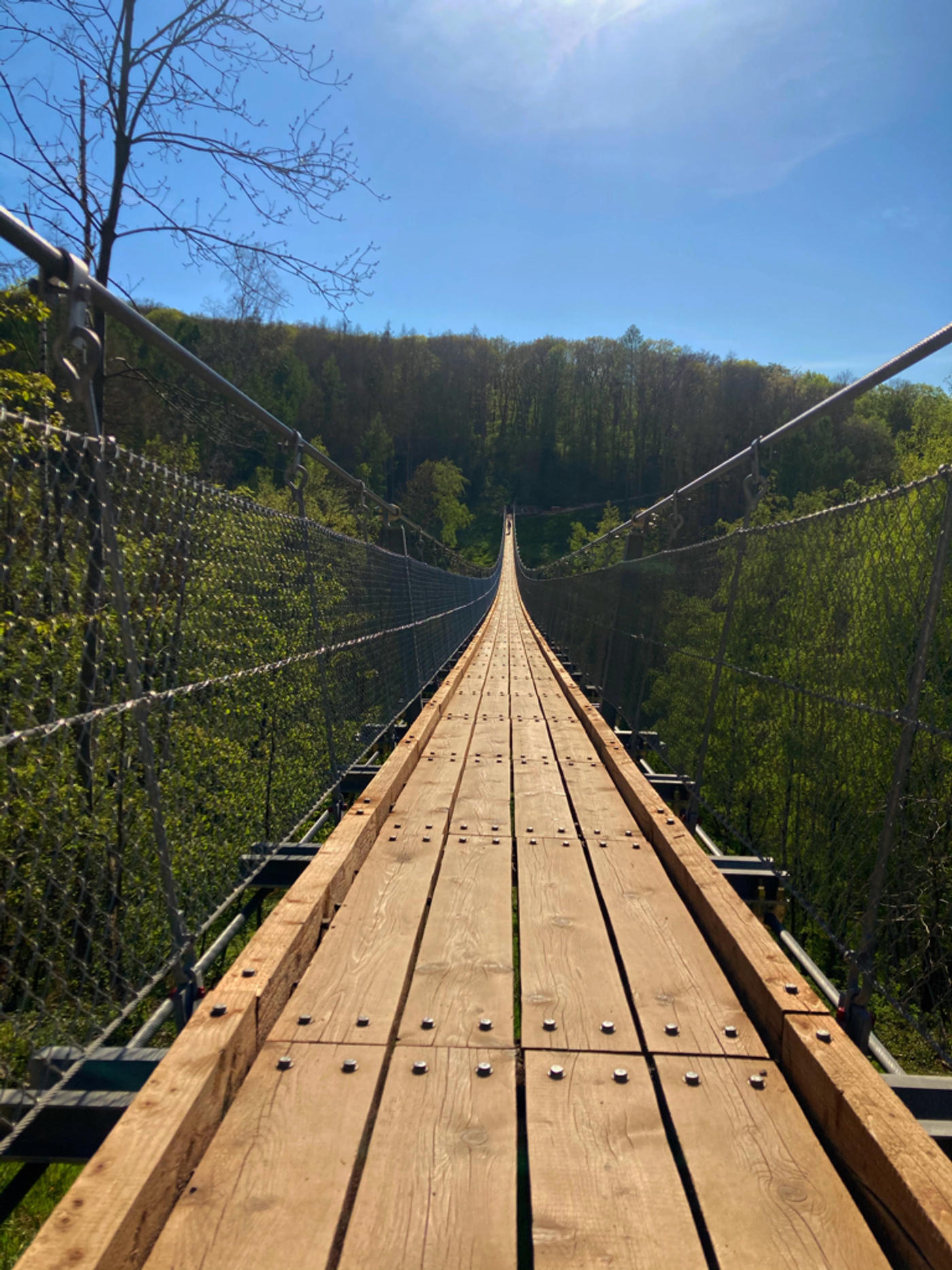 Hängebrücke Hohe Schrecke