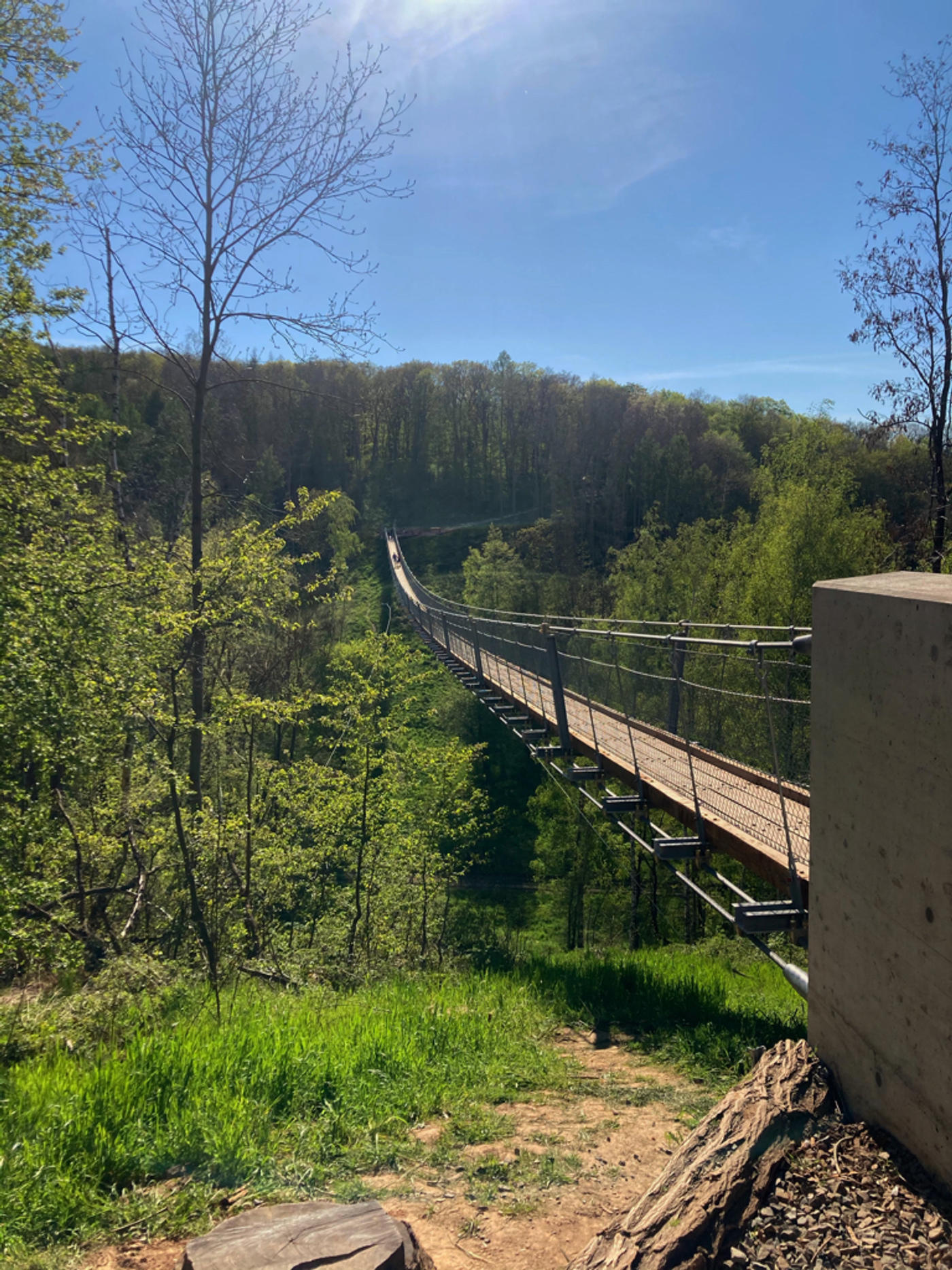 Hängebrücke Hohe Schrecke 
