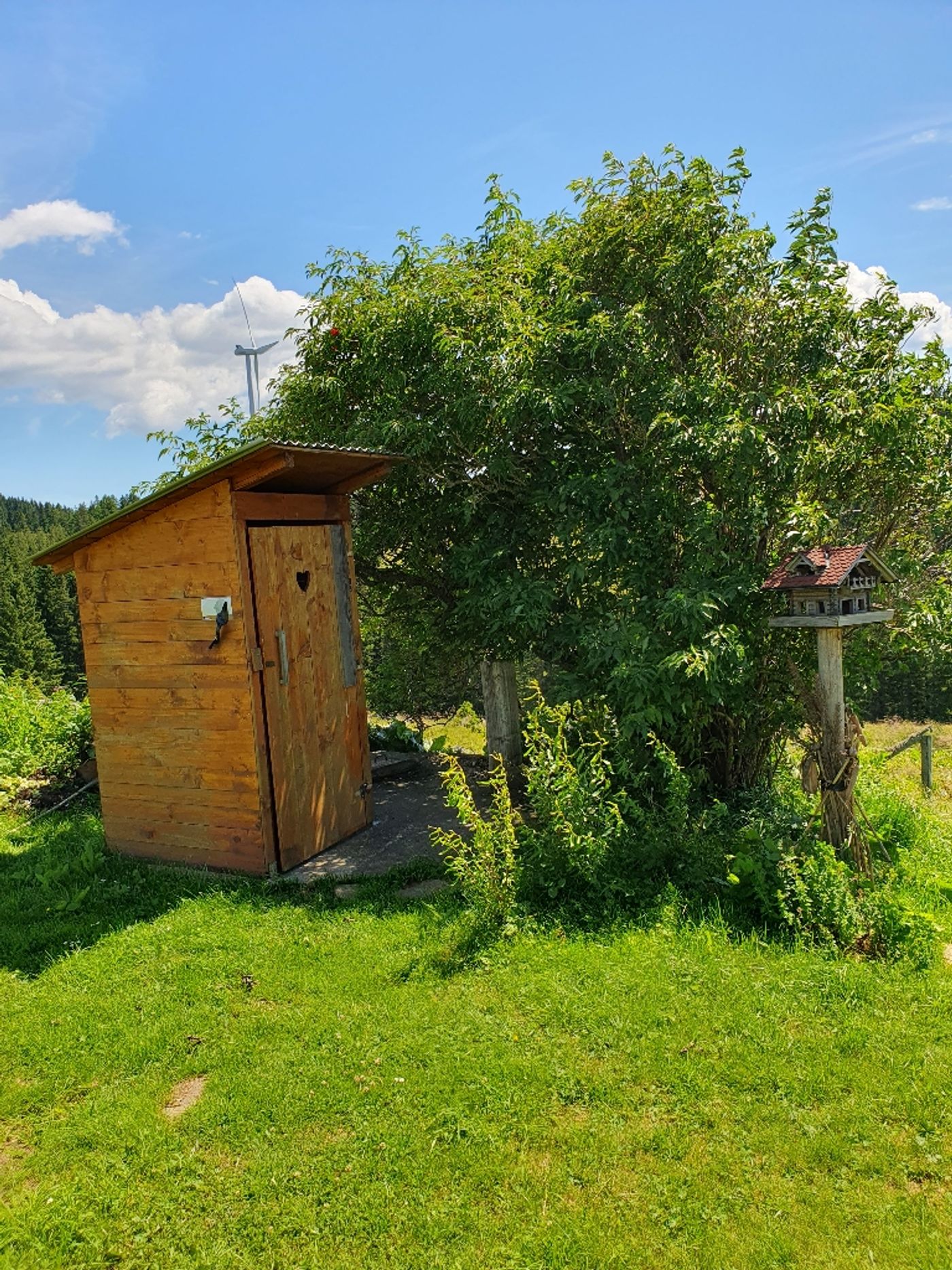 Freiländerhütte auf der Freiländeralm