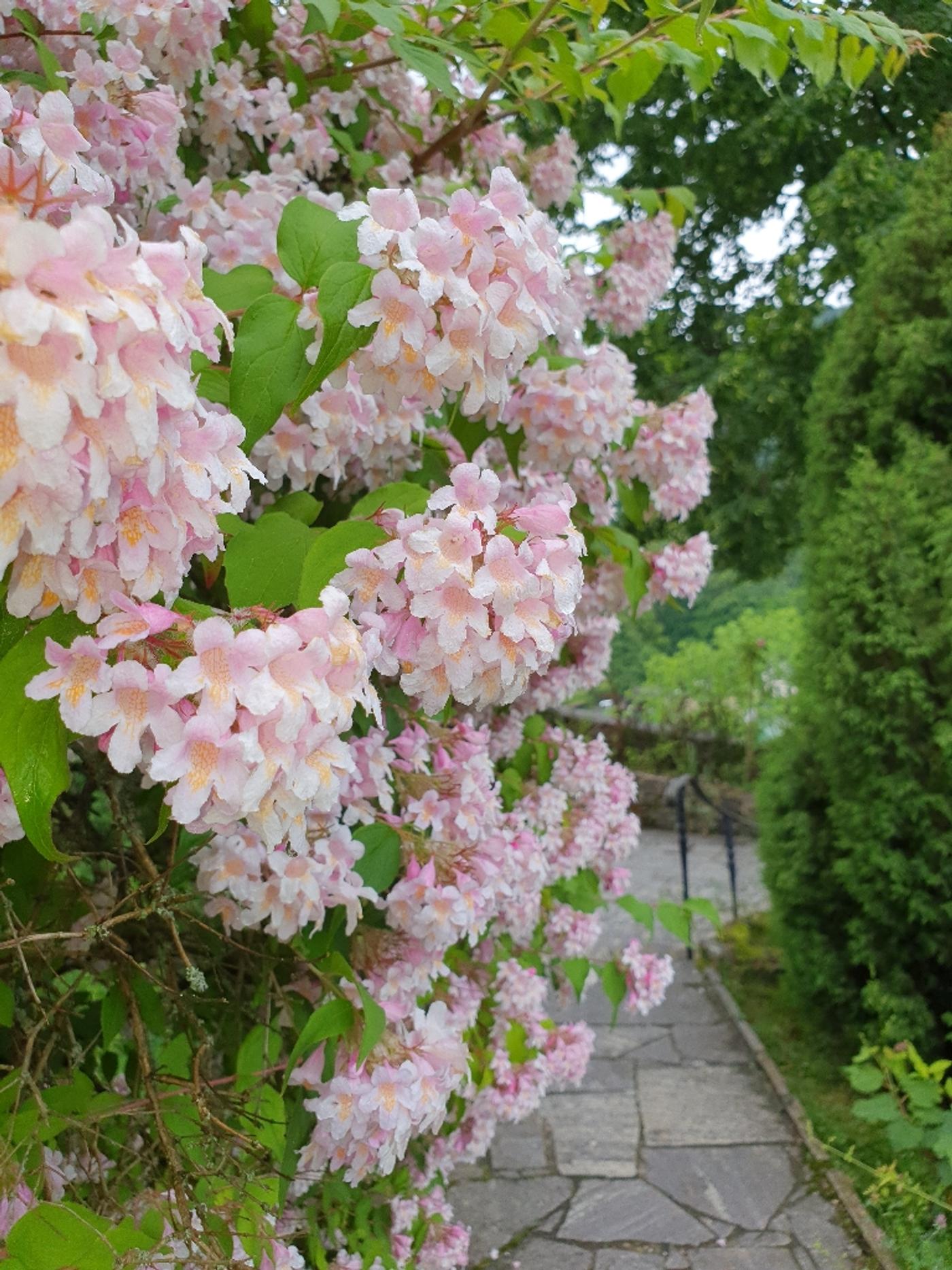Wallfahrtskirche Maria Wörth