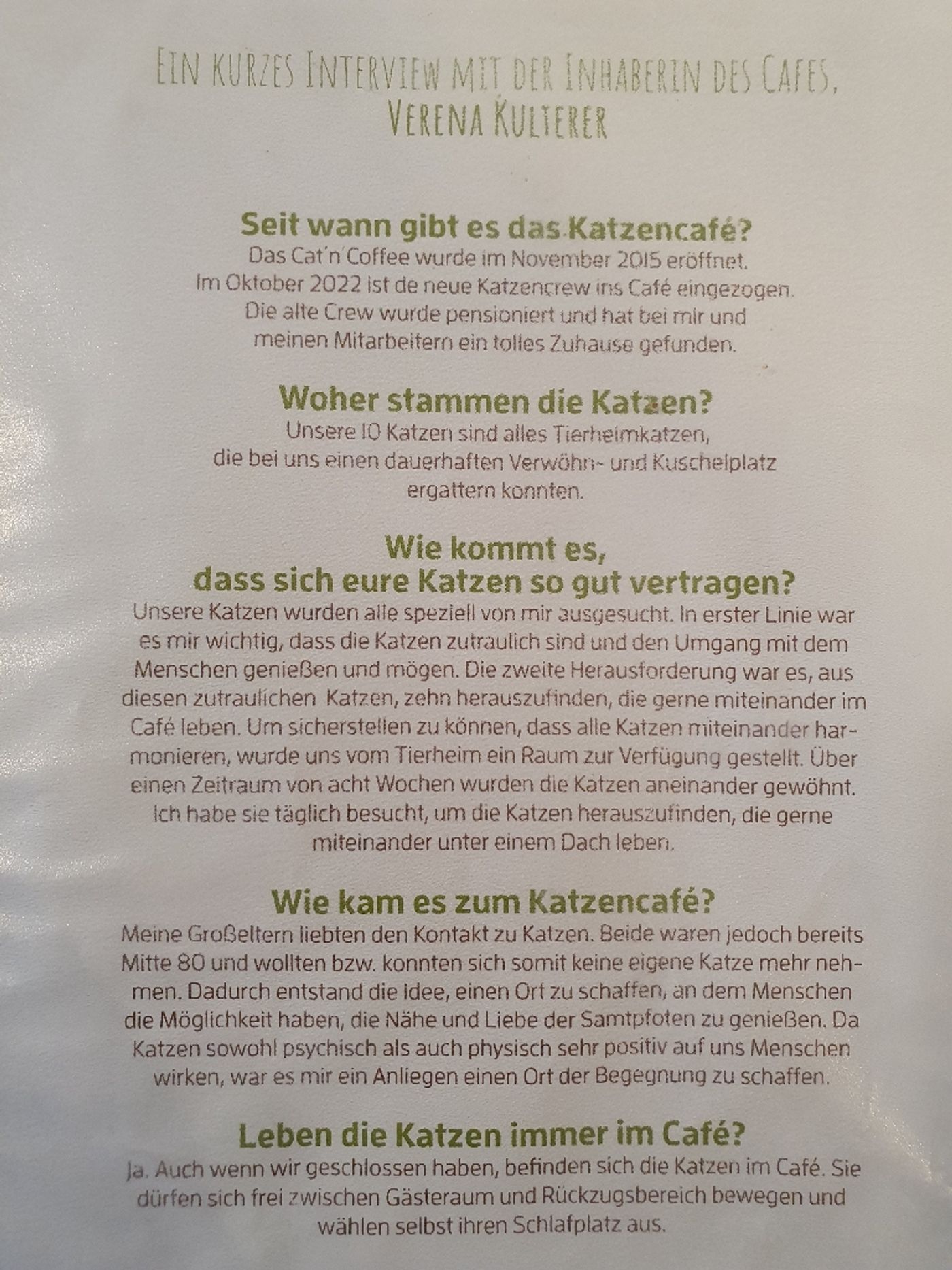 das katzencafè - Klagenfurt