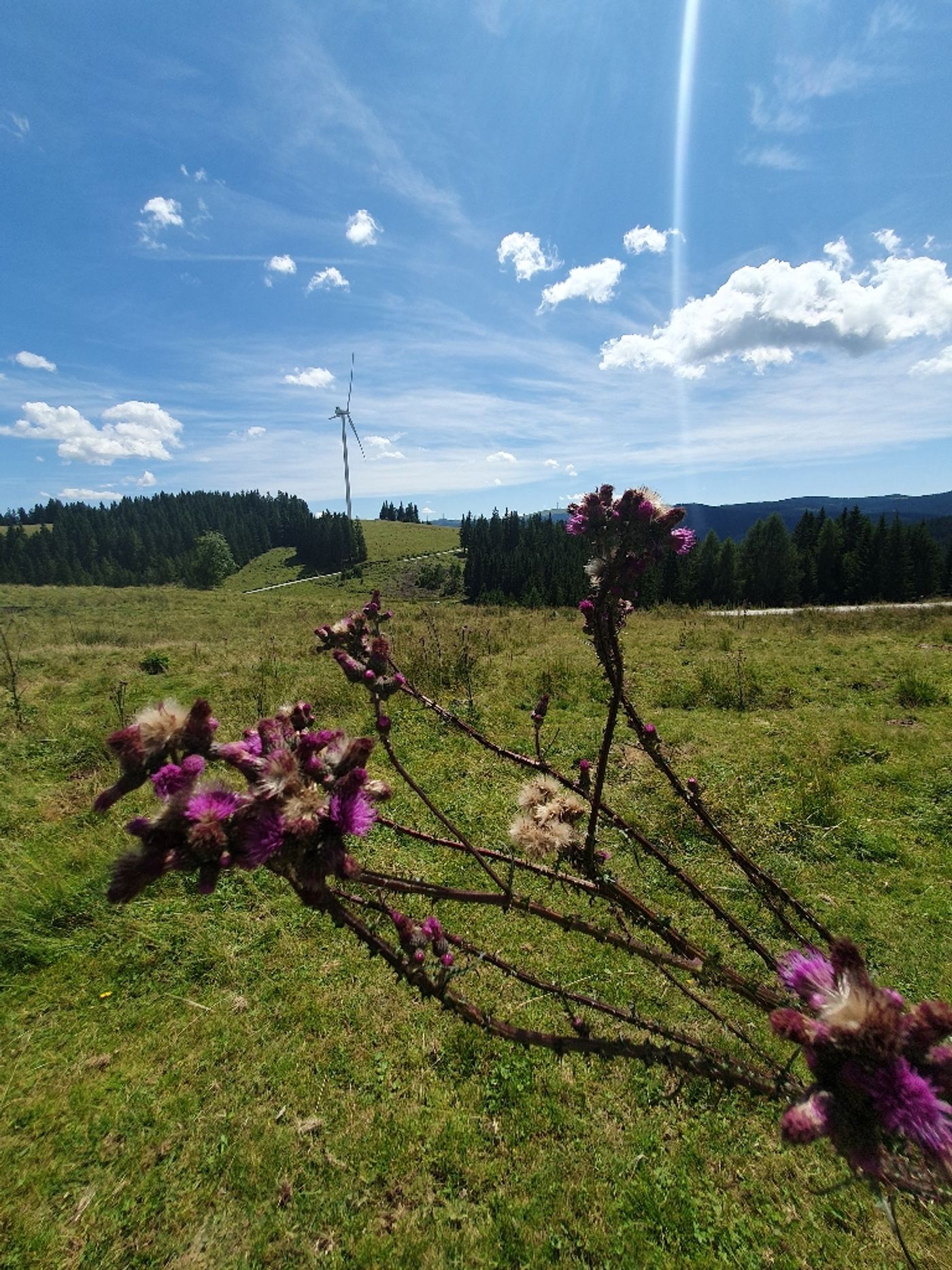 Freiländerhütte auf der Freiländeralm