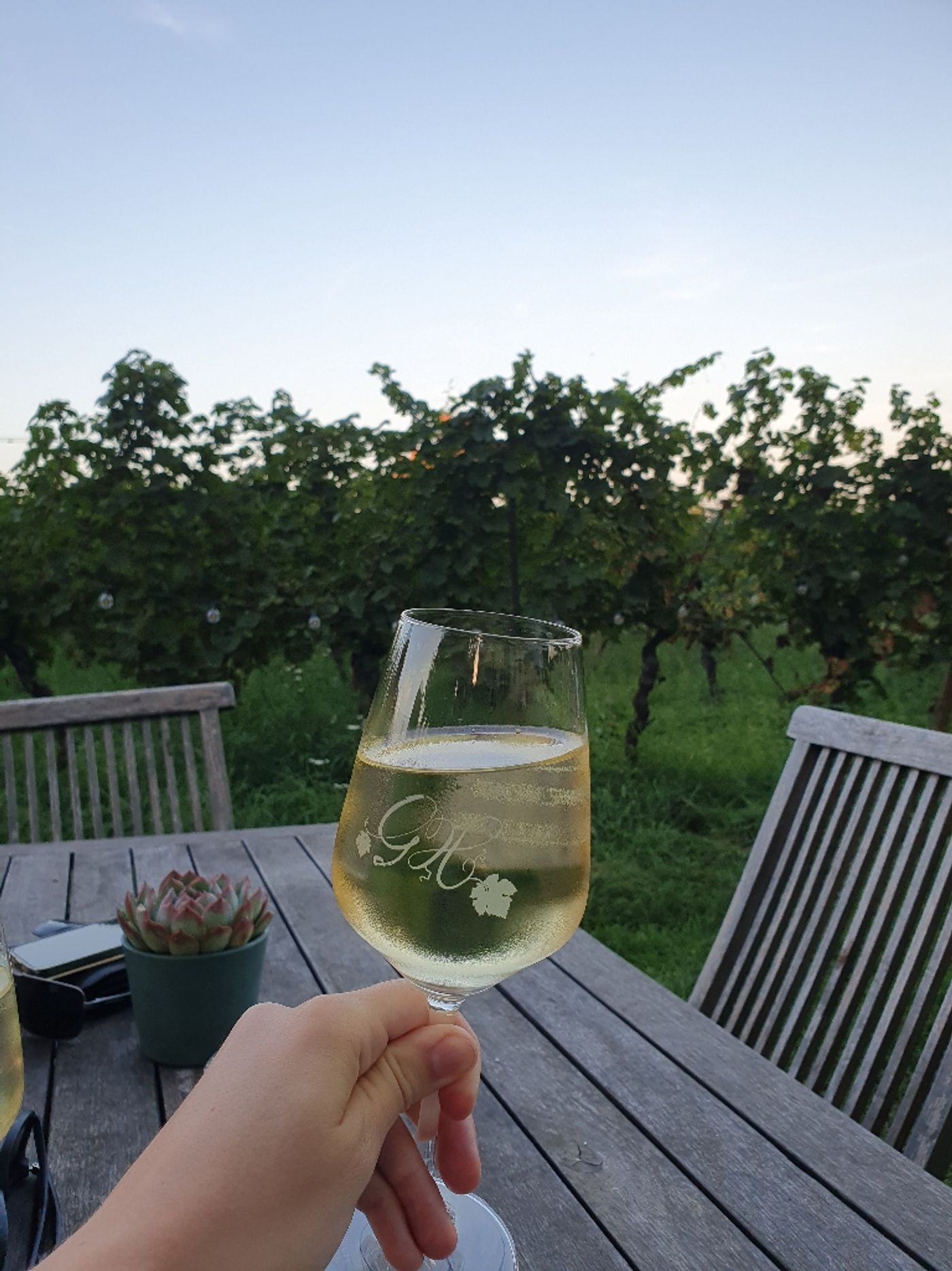 Vino mit Rheinblick