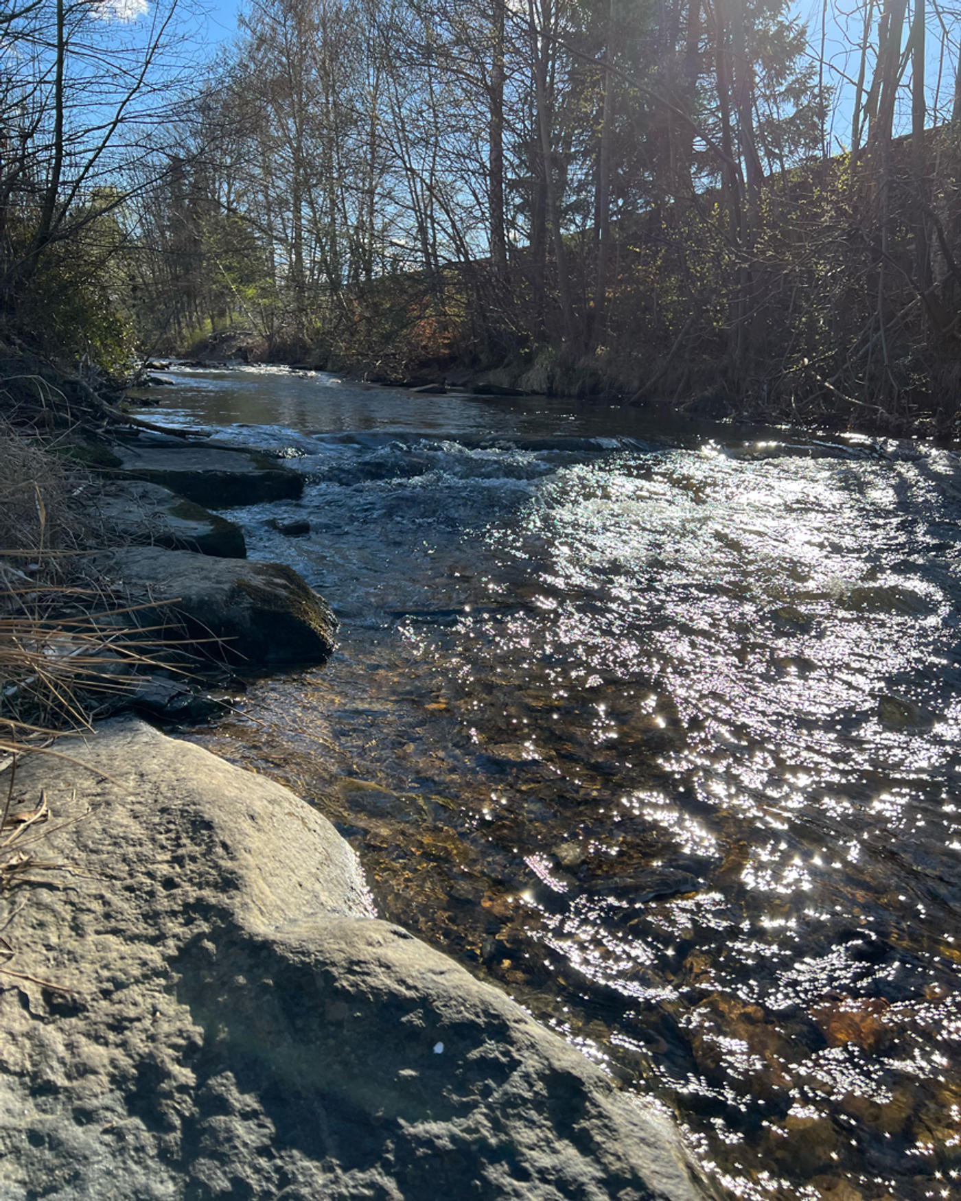 Ein entspannter🚶‍♂️ an der Laßnitz 🤩