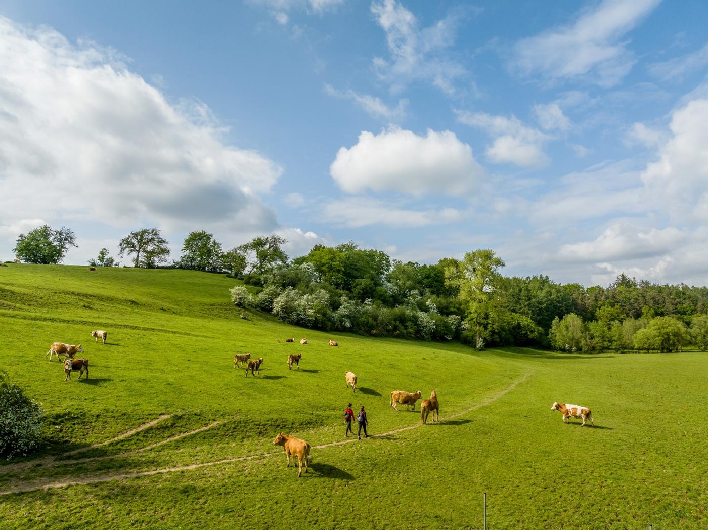 Sahneschnittchen zum Wandern