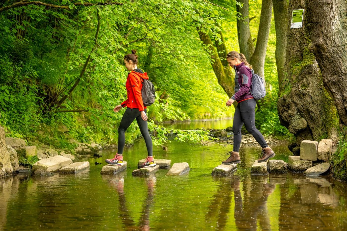 Sahneschnittchen zum Wandern