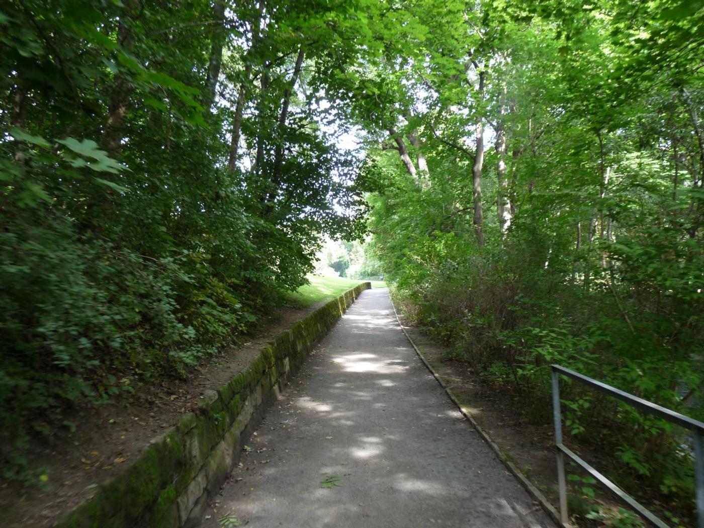 Mystische Naturatmosphäre