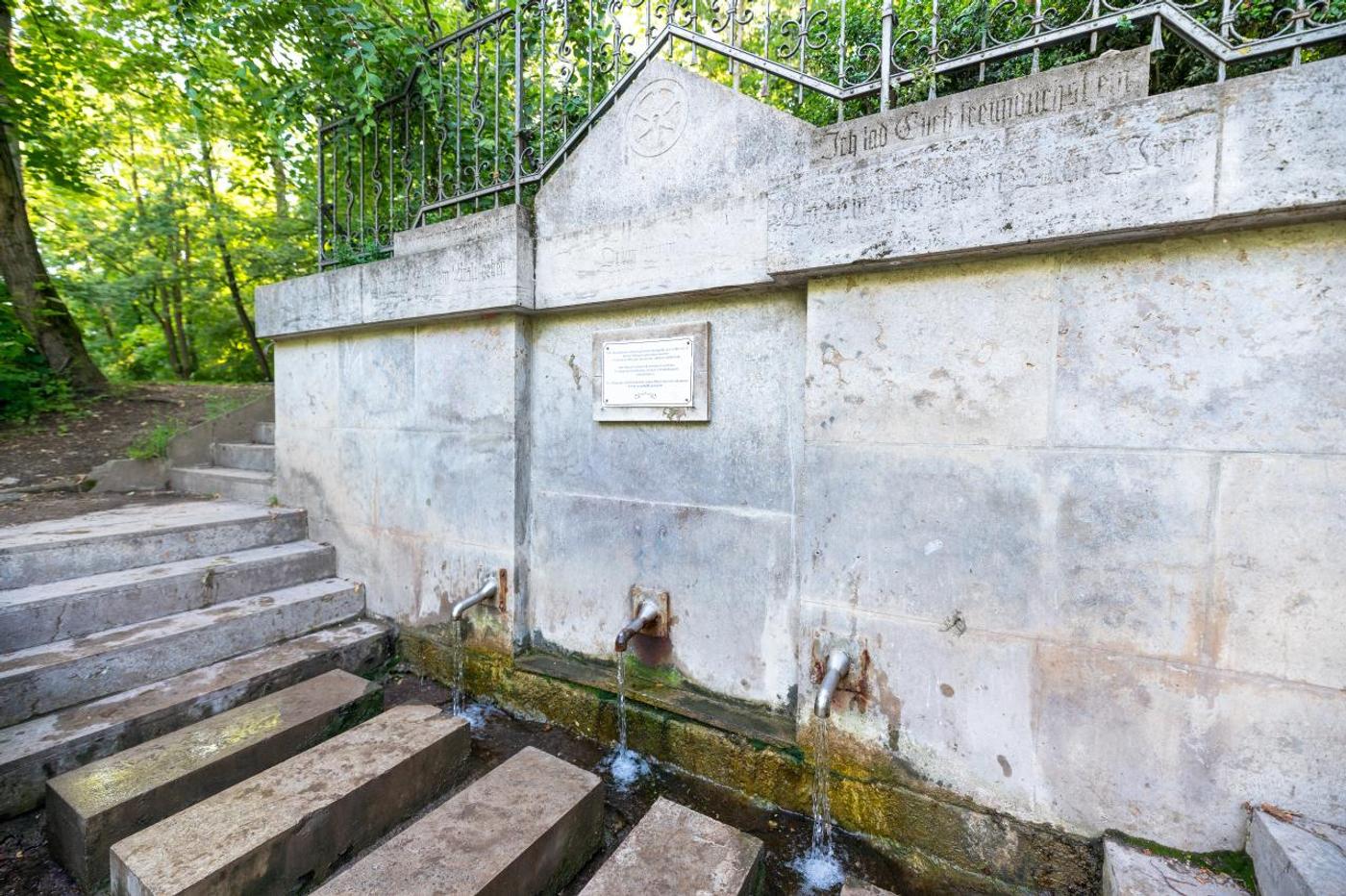 Mystische Naturatmosphäre