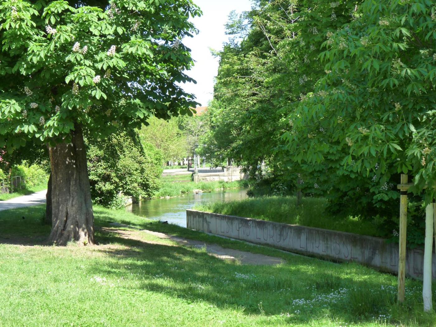 Magisches Flair am Fluss