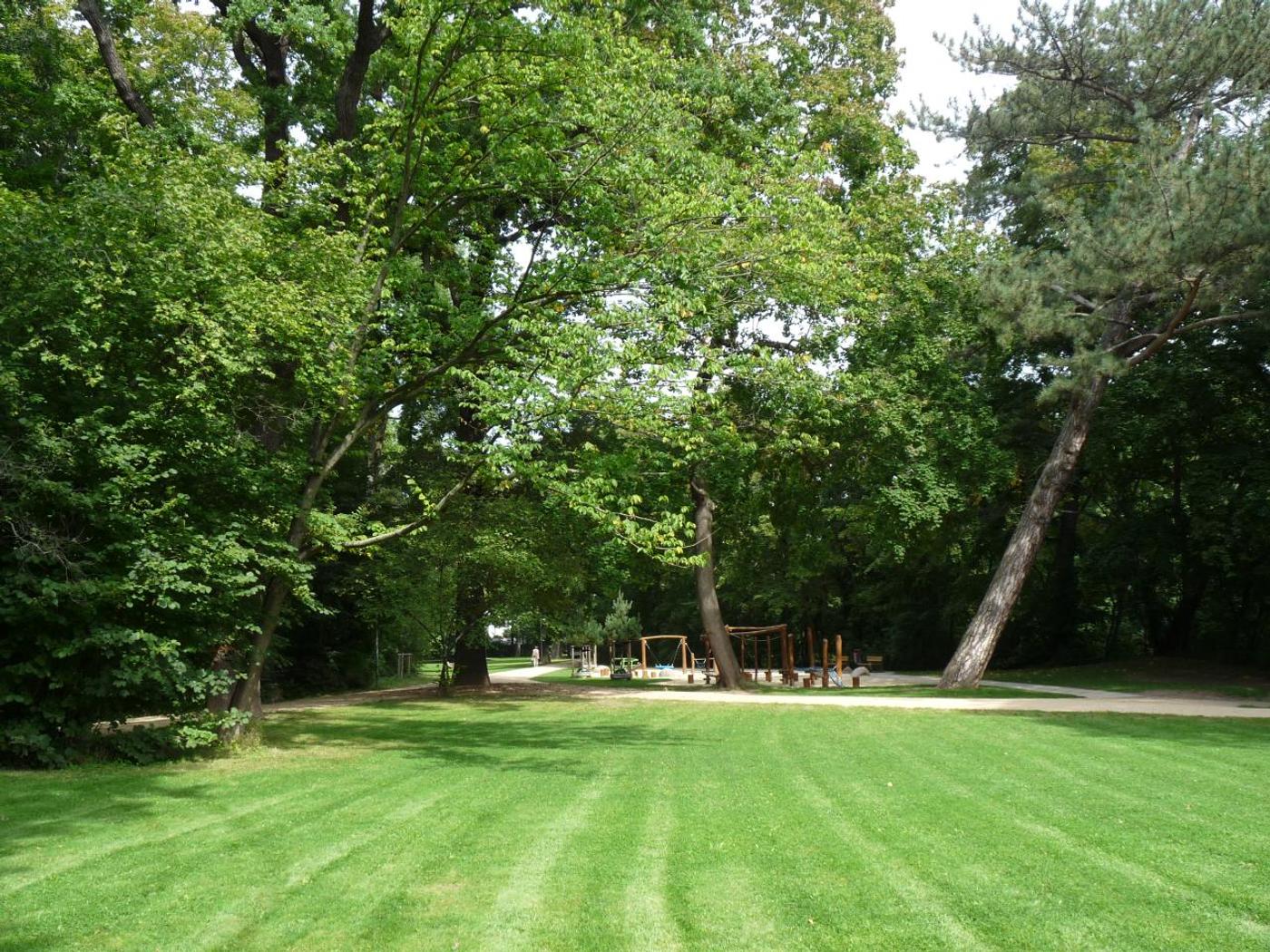 Mystische Naturatmosphäre