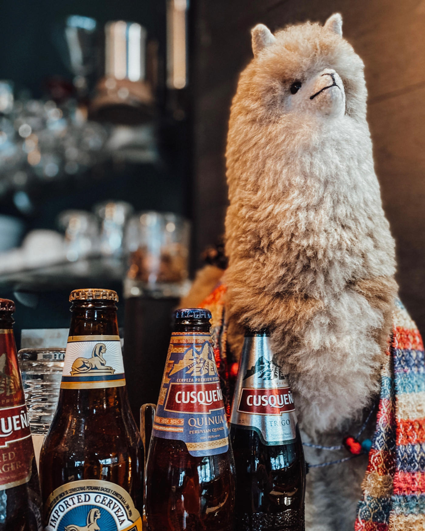 Pisco Sour und ein Lama.