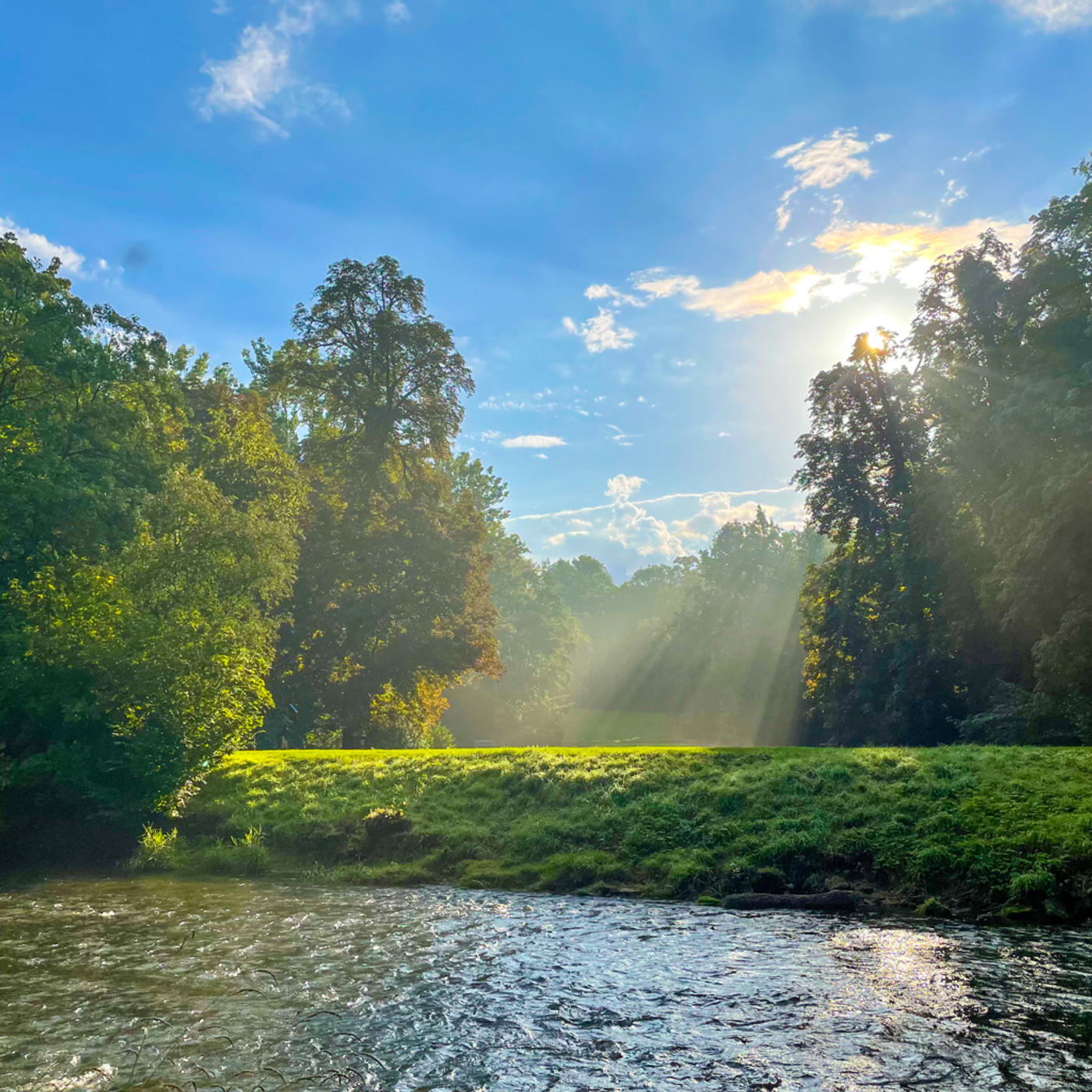 Sonniger Morgen am Ilmufer 🌅