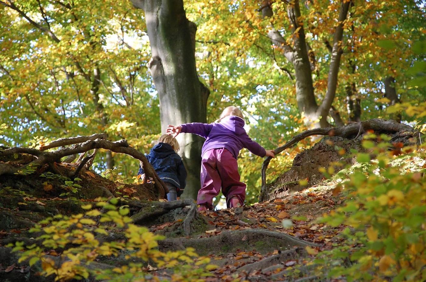 Mittelalter hautnah im Wald erleben