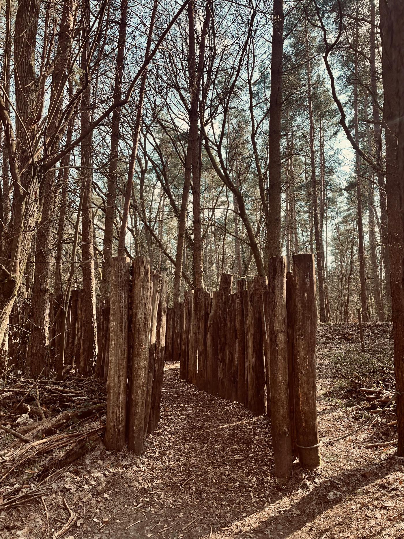 Ein natürliches Paradies für gerettete Bären
