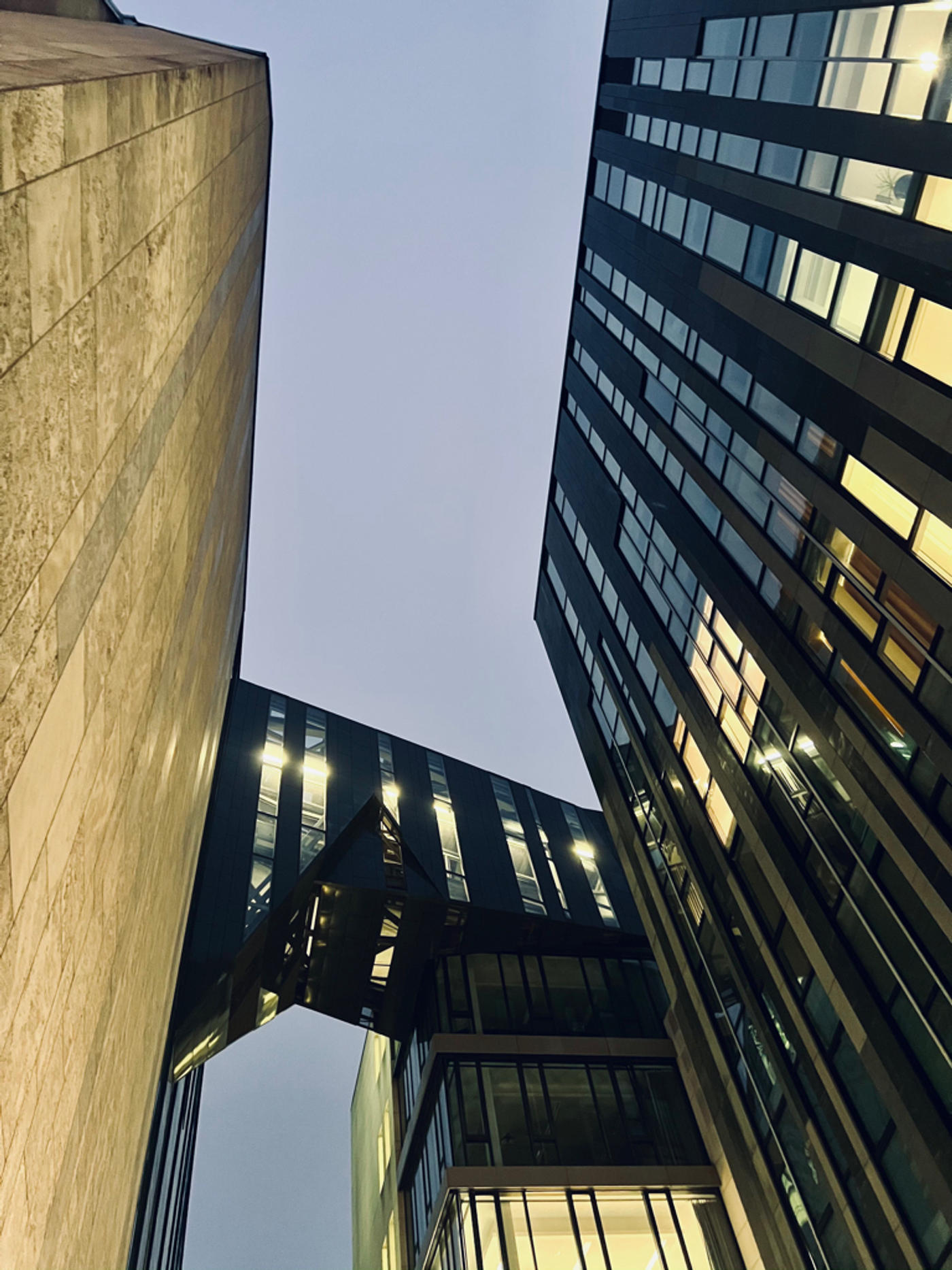 Die Wiederauferstehung