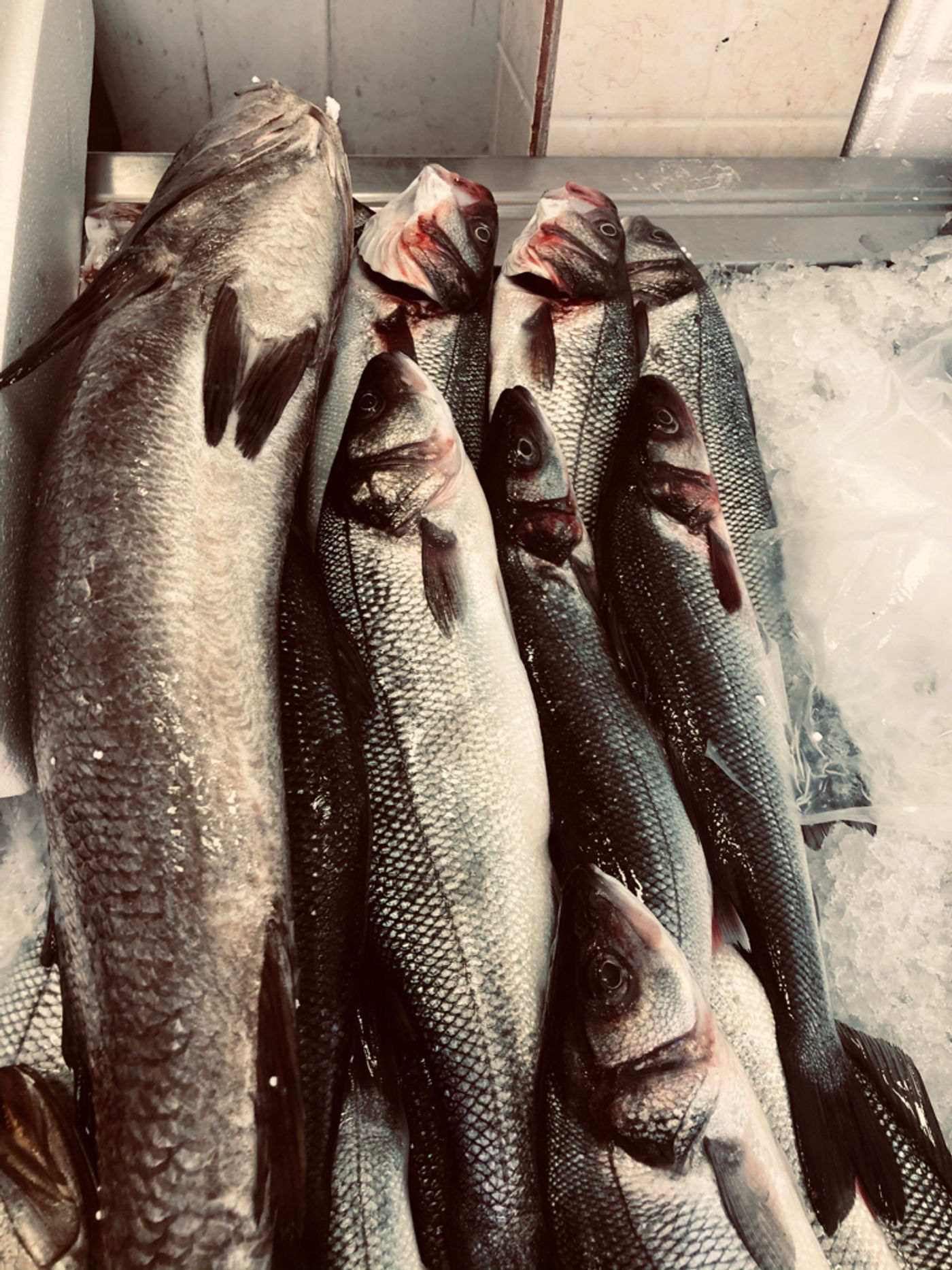 Fresh fish